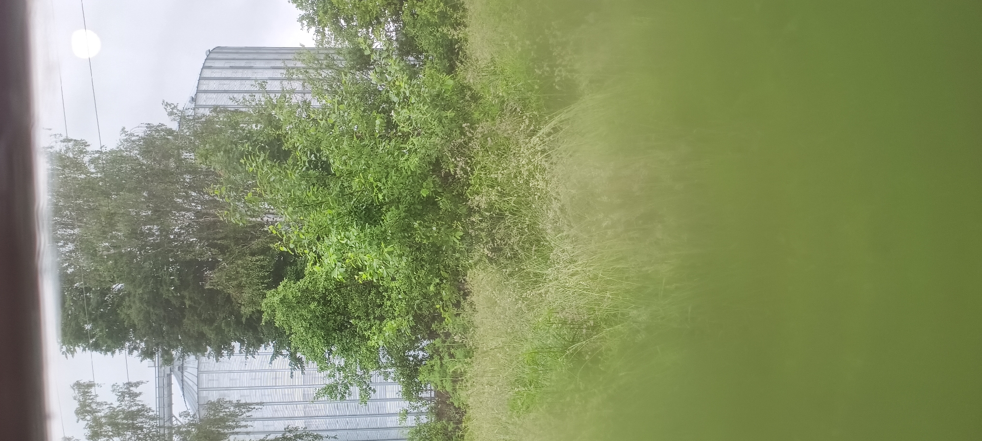 Domestic scenes and industrial landscapes captured in morning observations