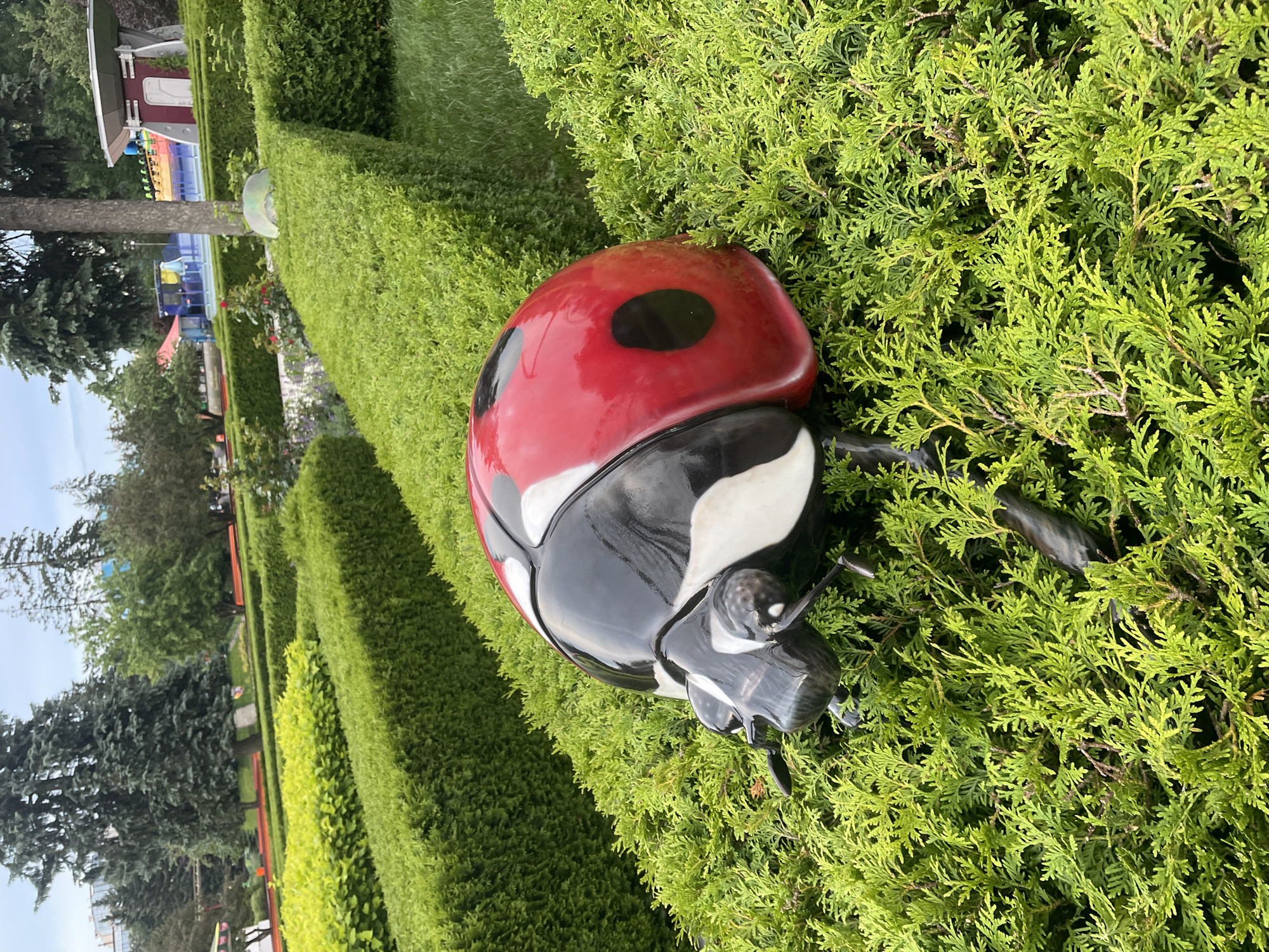 Ladybug sculpture and amusement ride at a St. Petersburg park