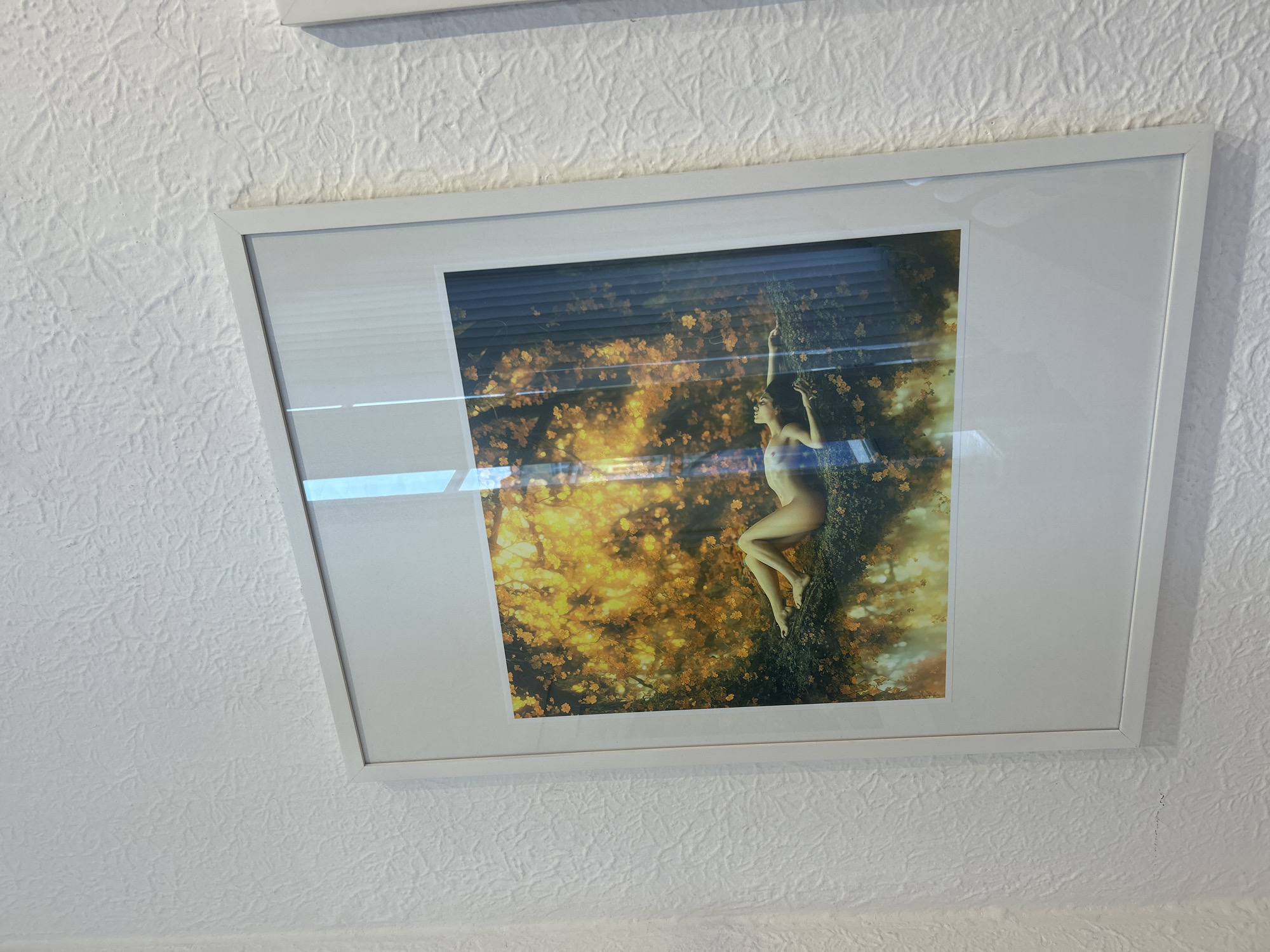 Tourist documents art gallery and street scenes in Plovdiv