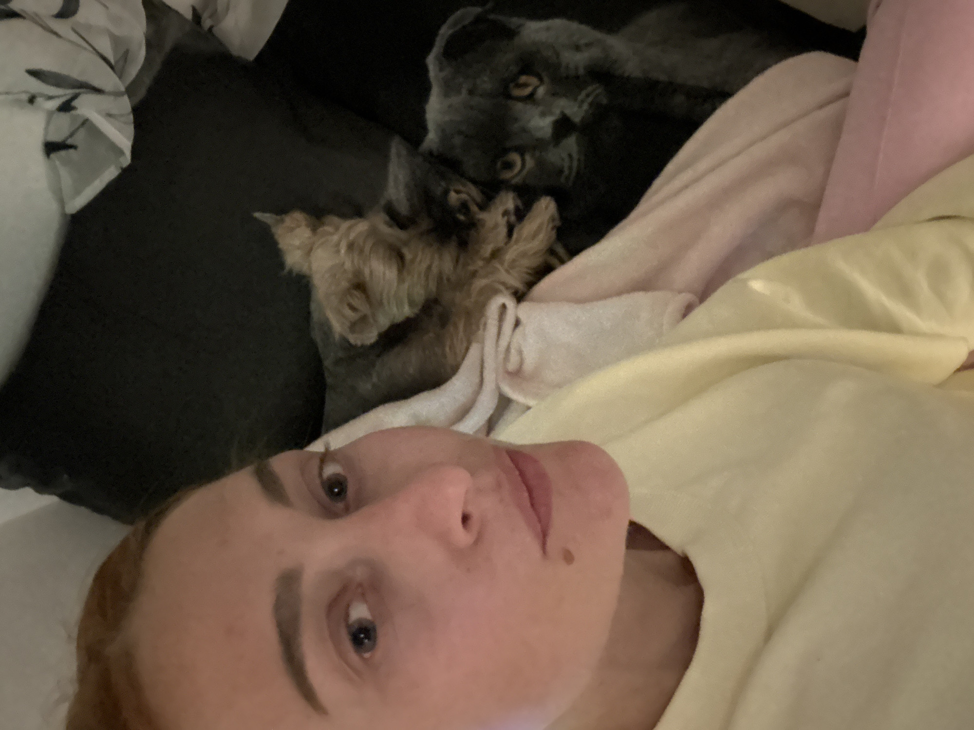 Evening at home: selfies, food, and pets in Budva