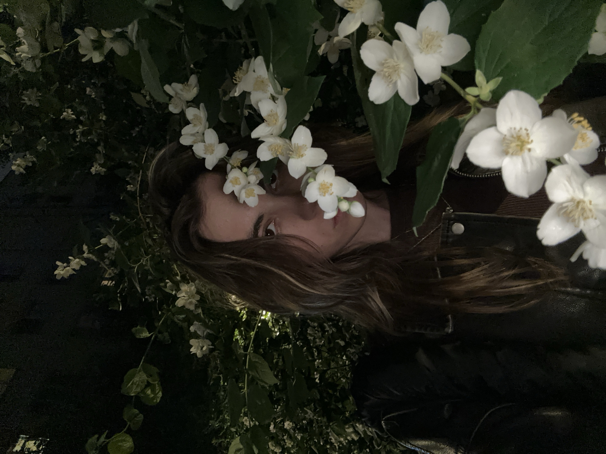 Evening portrait session among jasmine blooms in Moscow