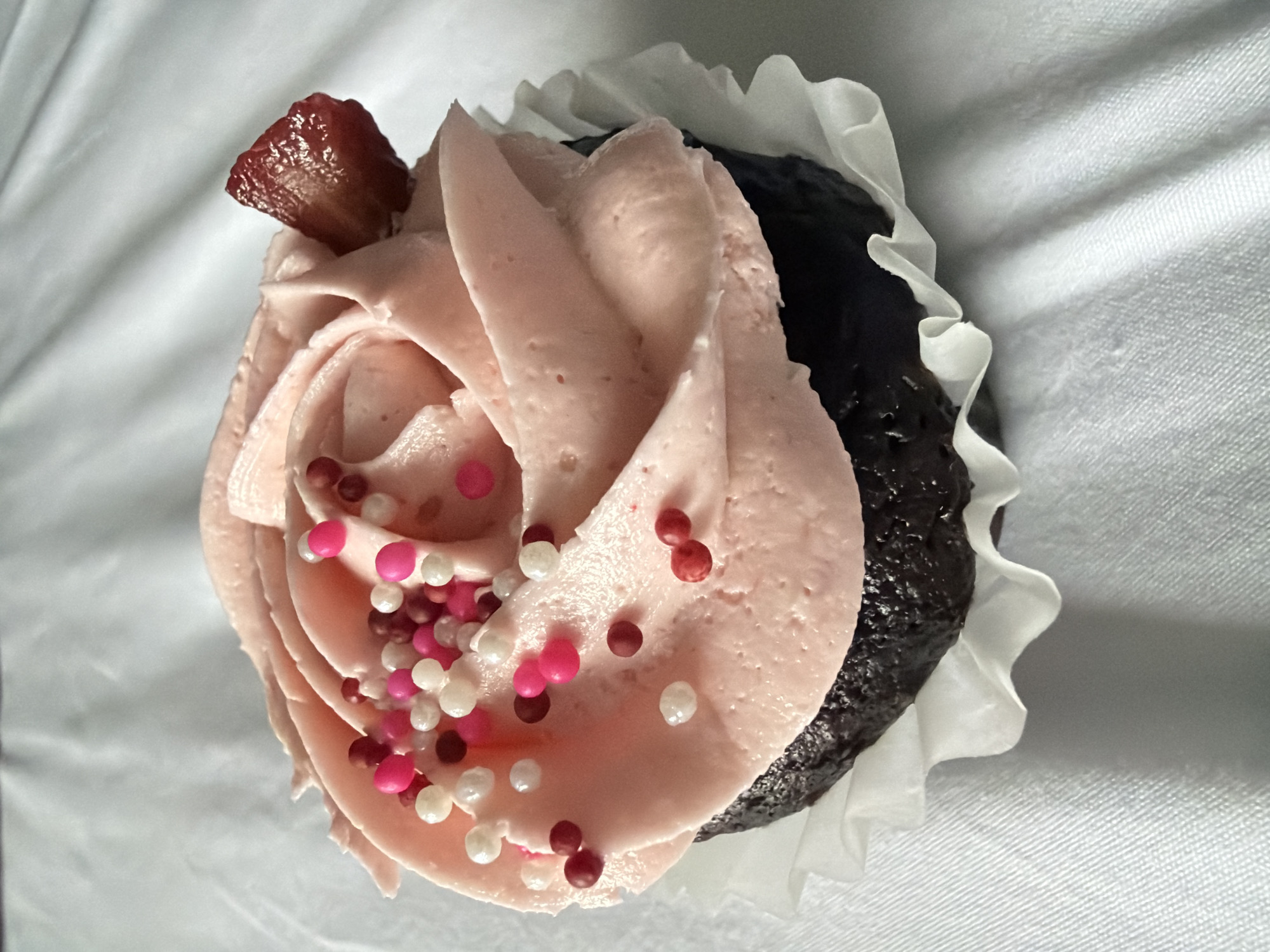 Chocolate cupcake with pink frosting photographed in Toronto