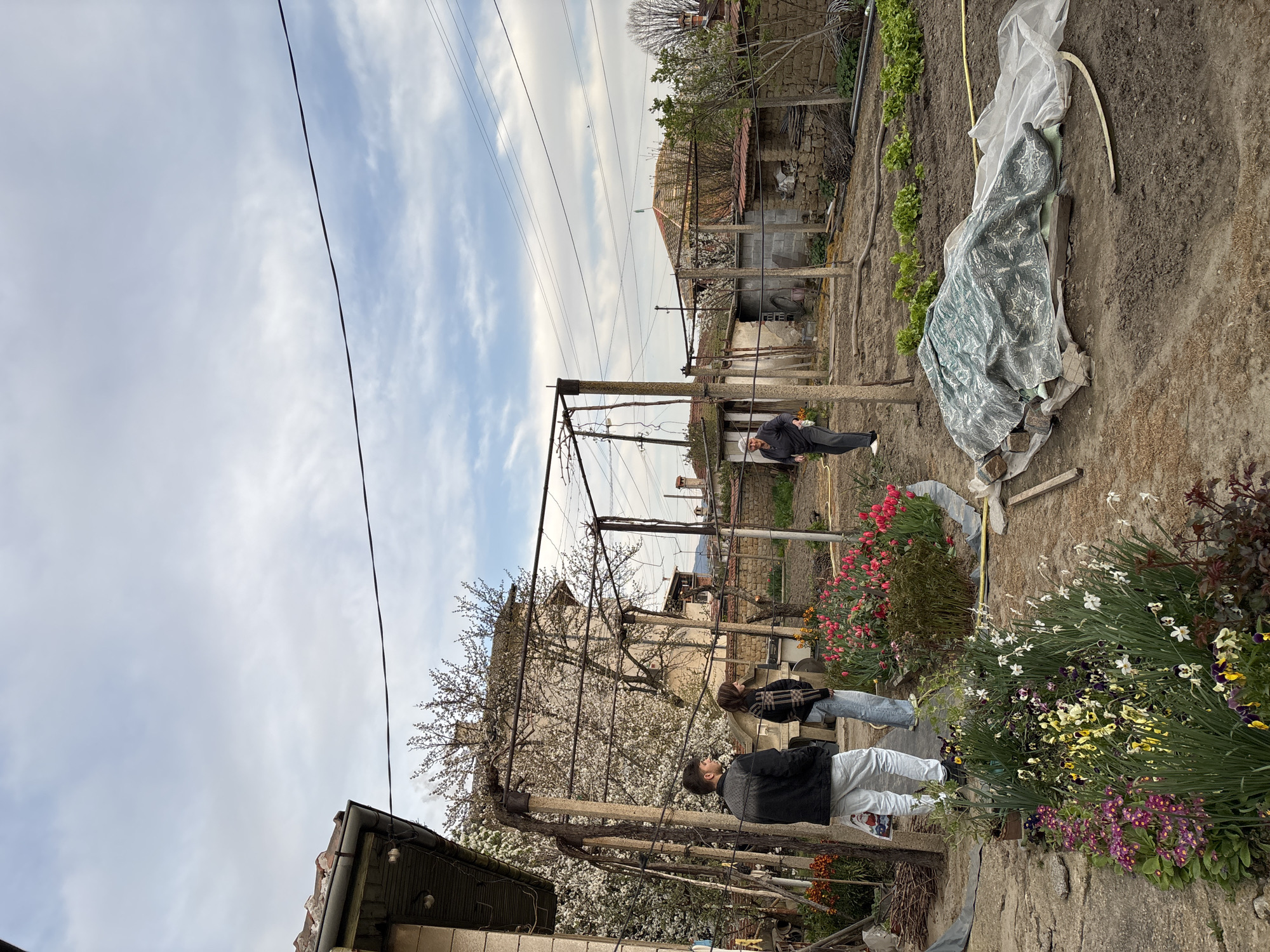 Garden activity documented at residential property in Banya, Bulgaria