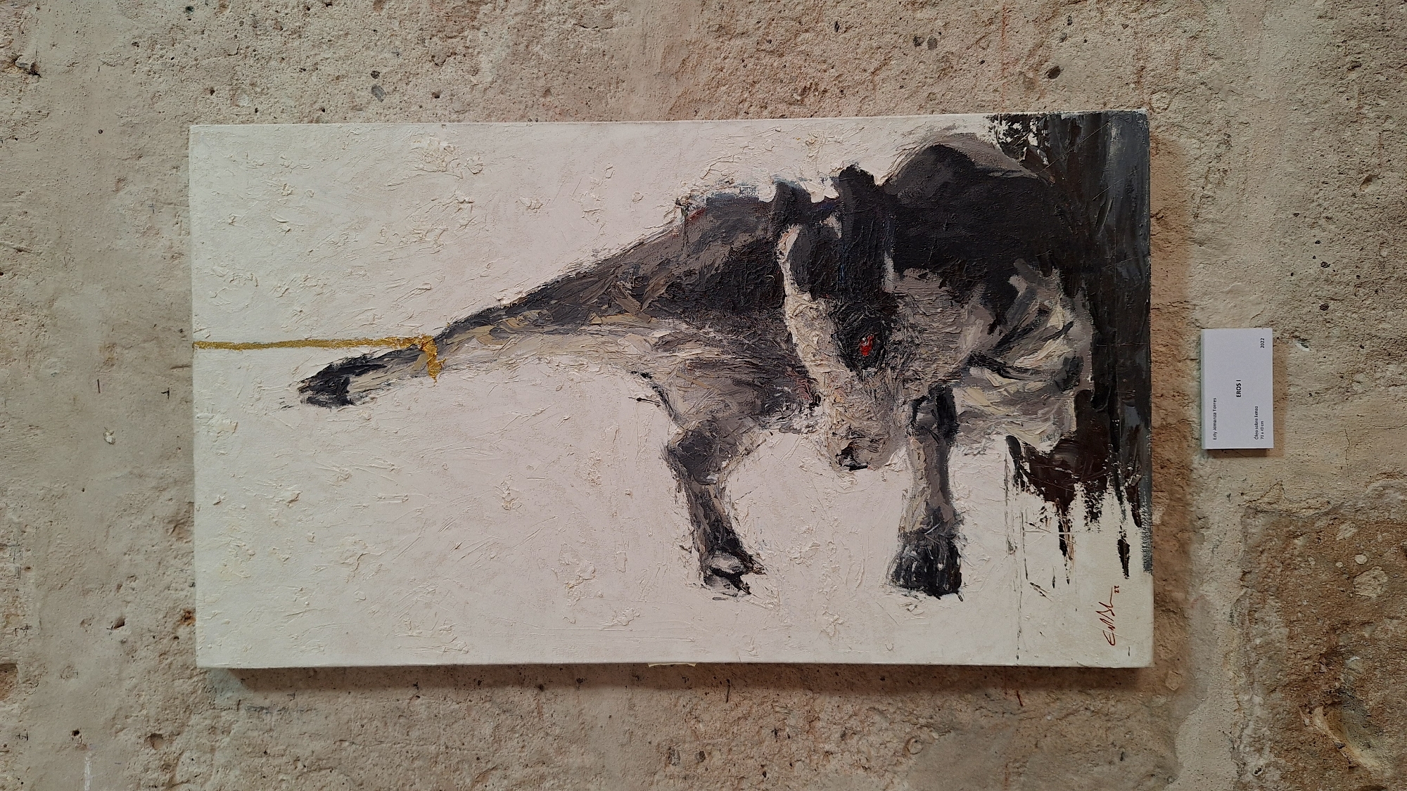 Art exhibition documented by visitor in Arequipa gallery