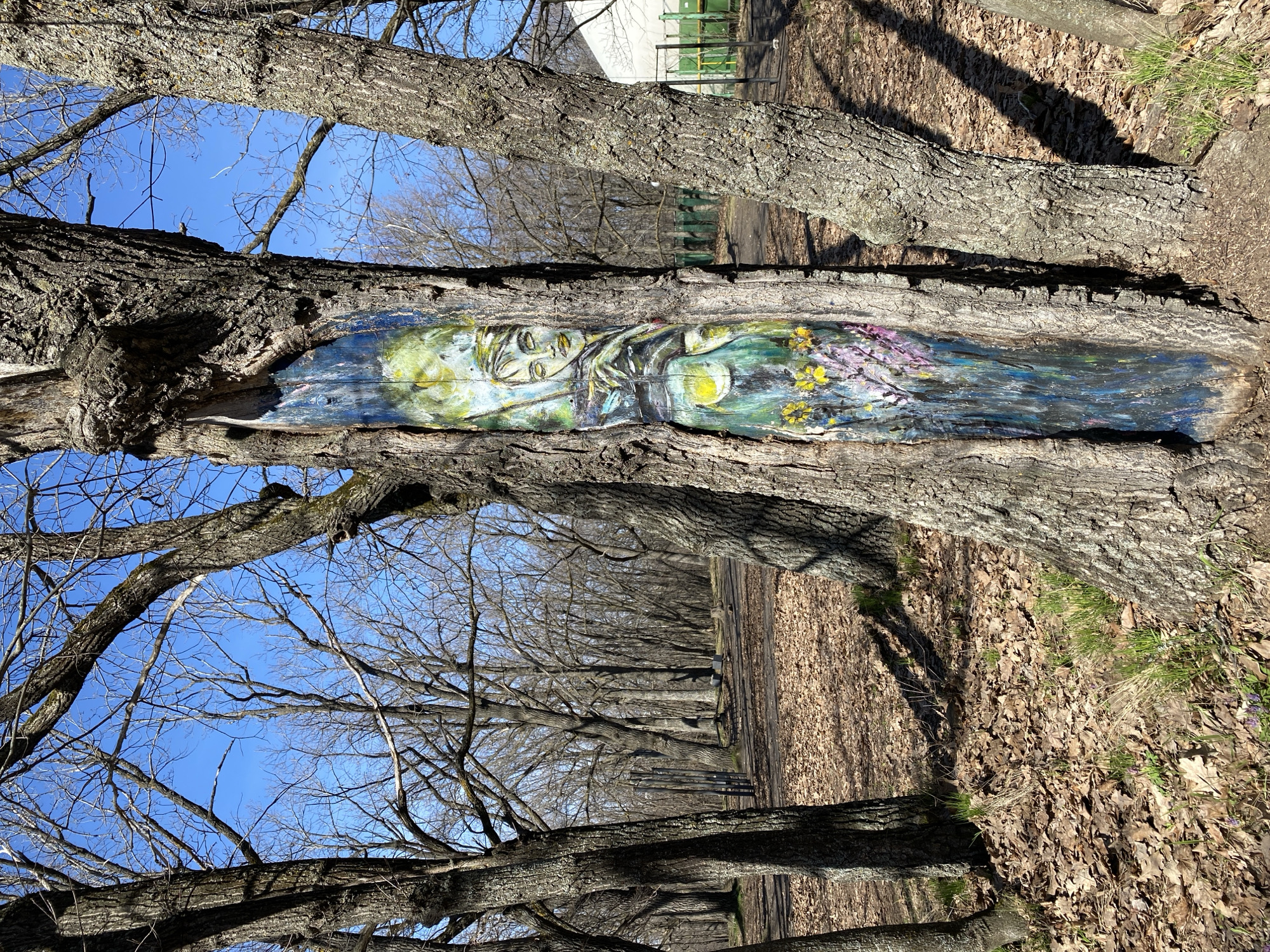 Artistic tree trunk display observed in Ulyanovsk park