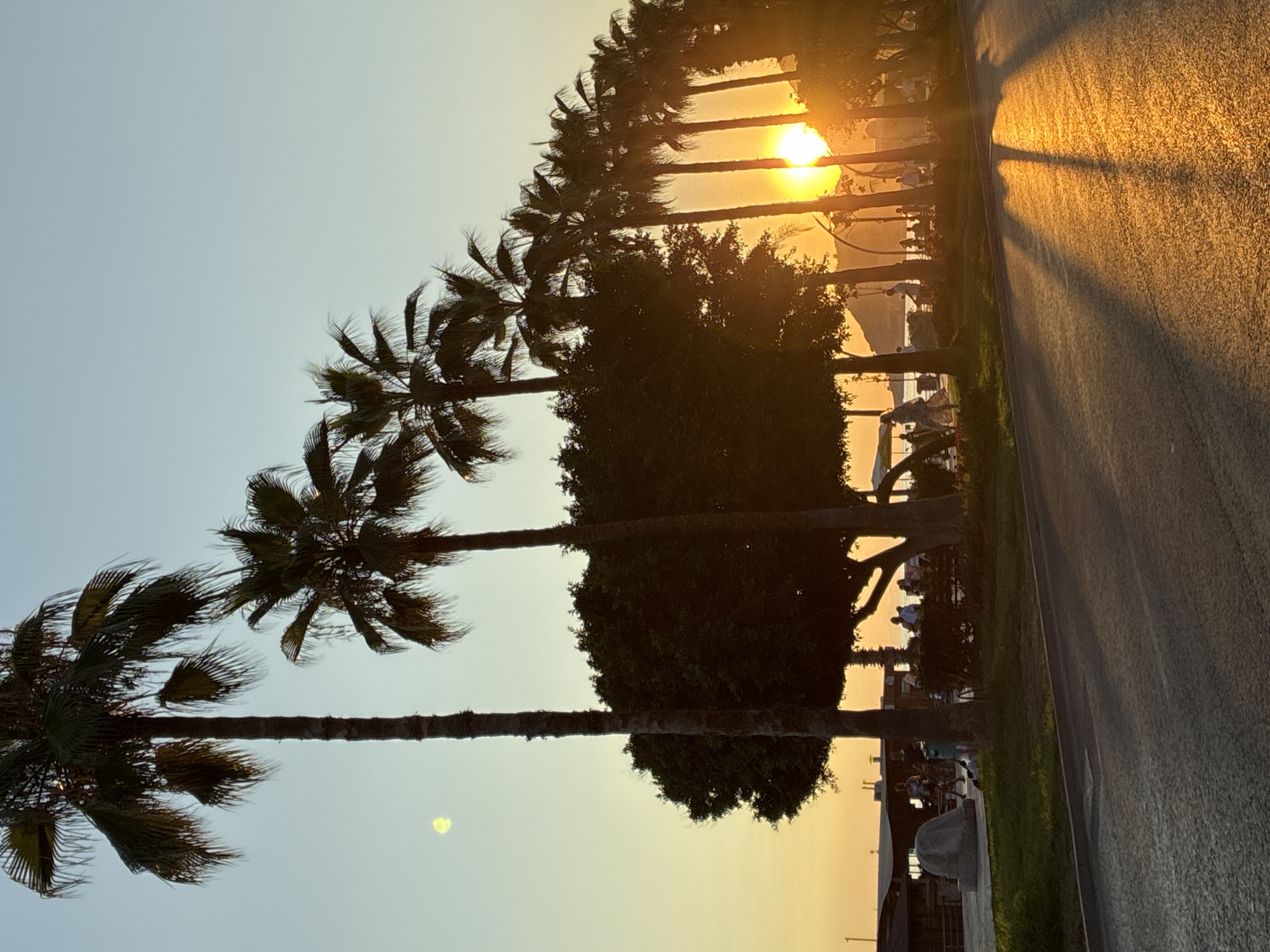 Sunset along Alanya's palm-lined coastal promenade