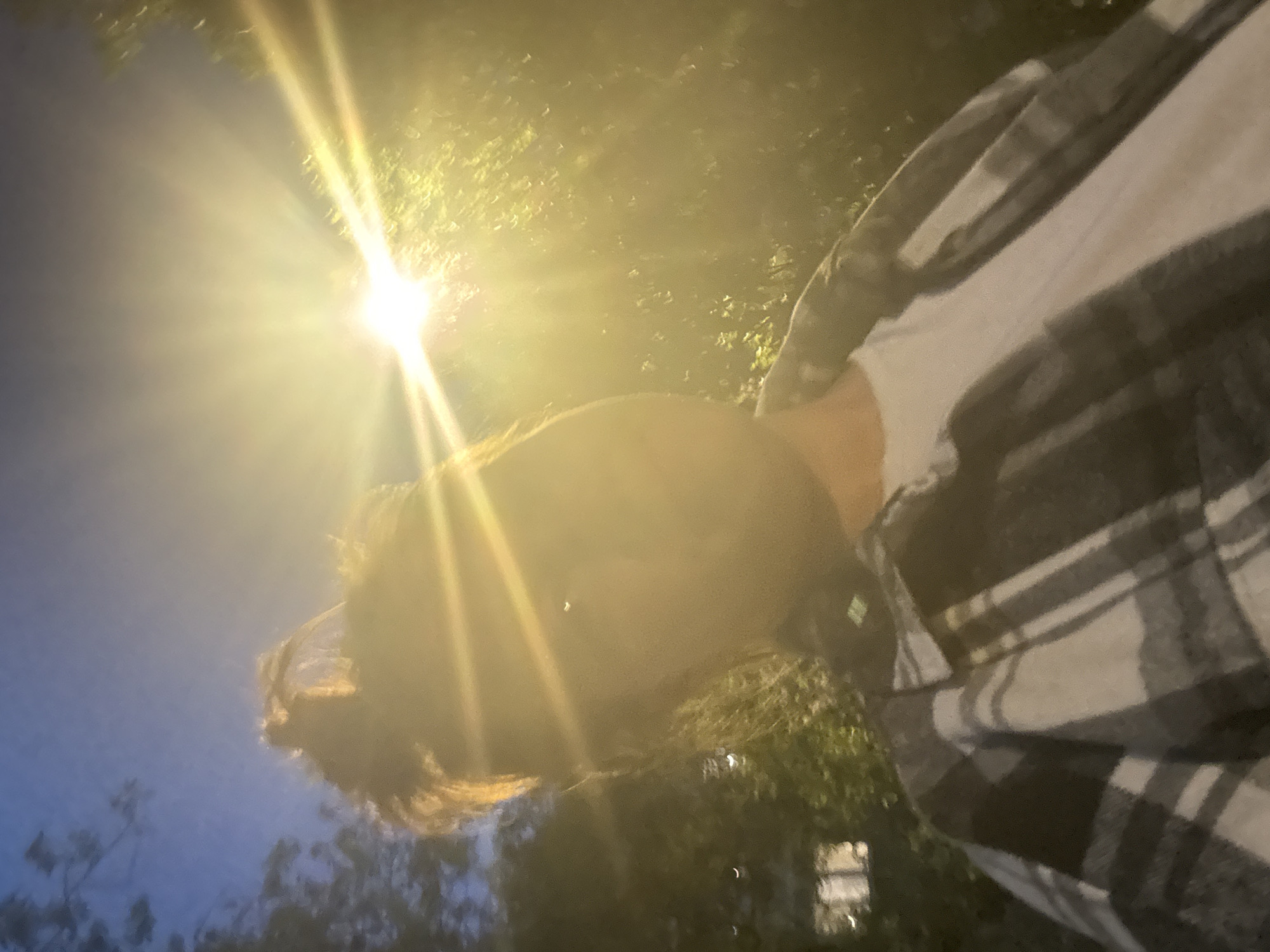 Student does homework in evening scene in Dmitrov, Russia