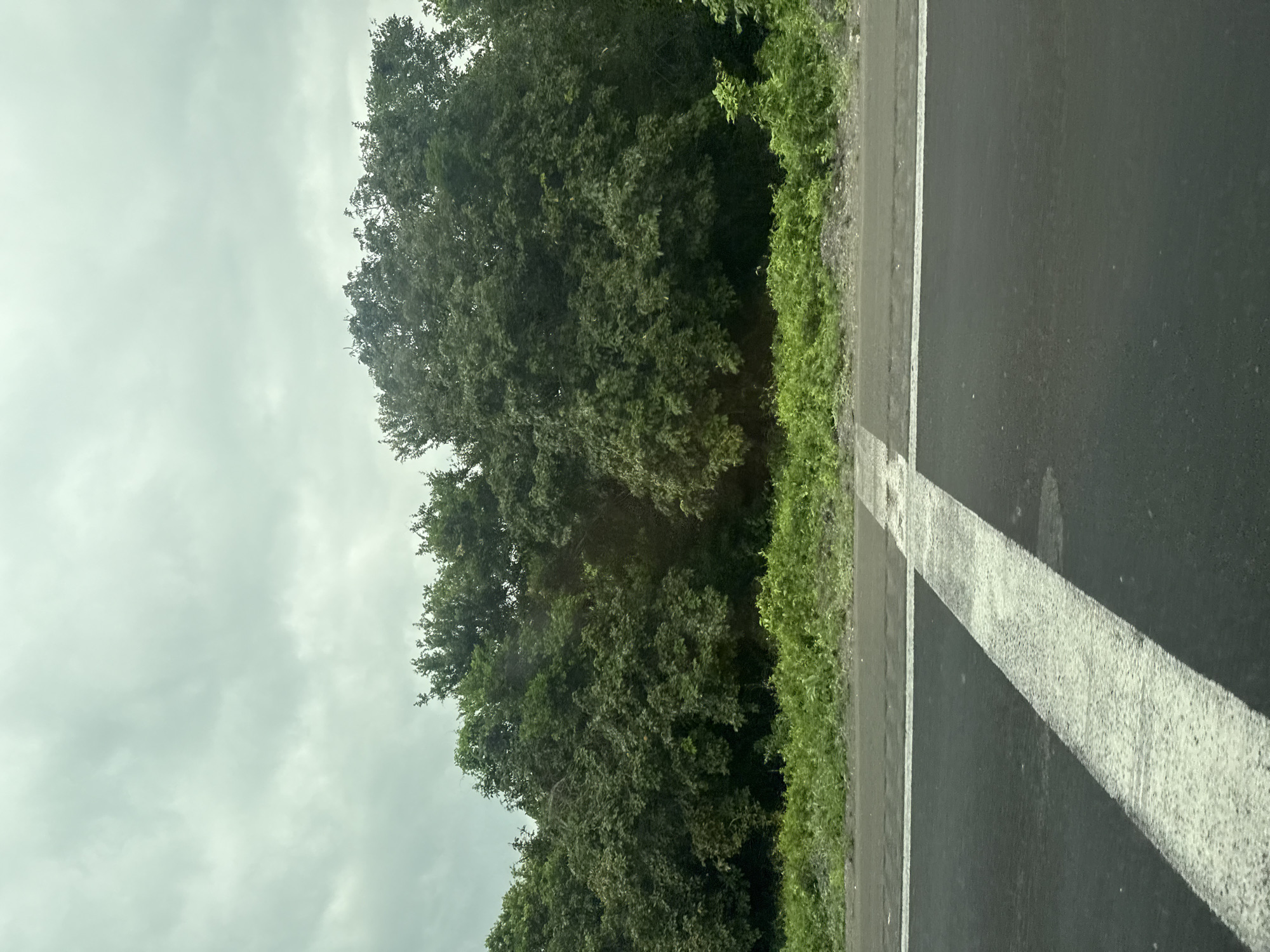 Brief vehicle journey documented in Zaragoza, Mexico