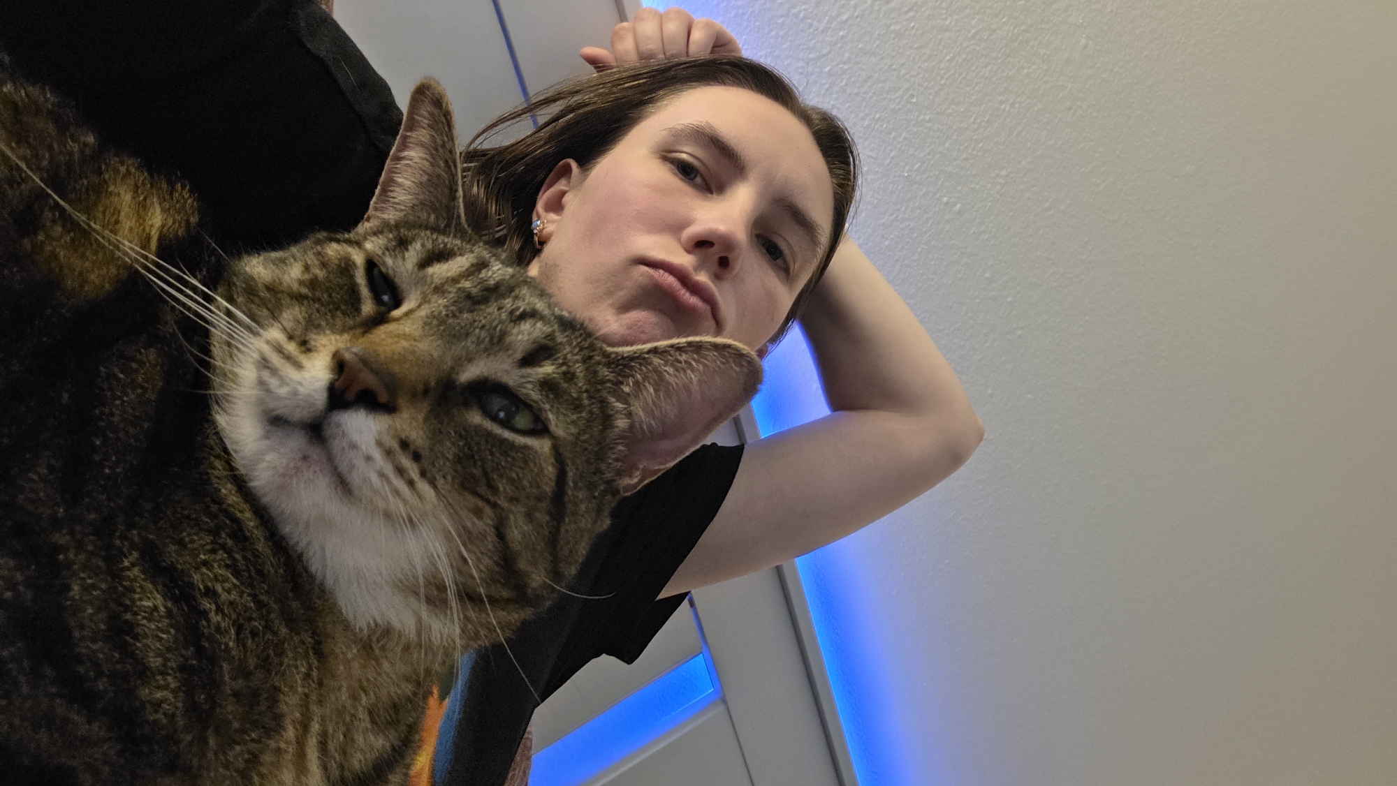 Lazy evening in Portland with a very comfortable tabby cat