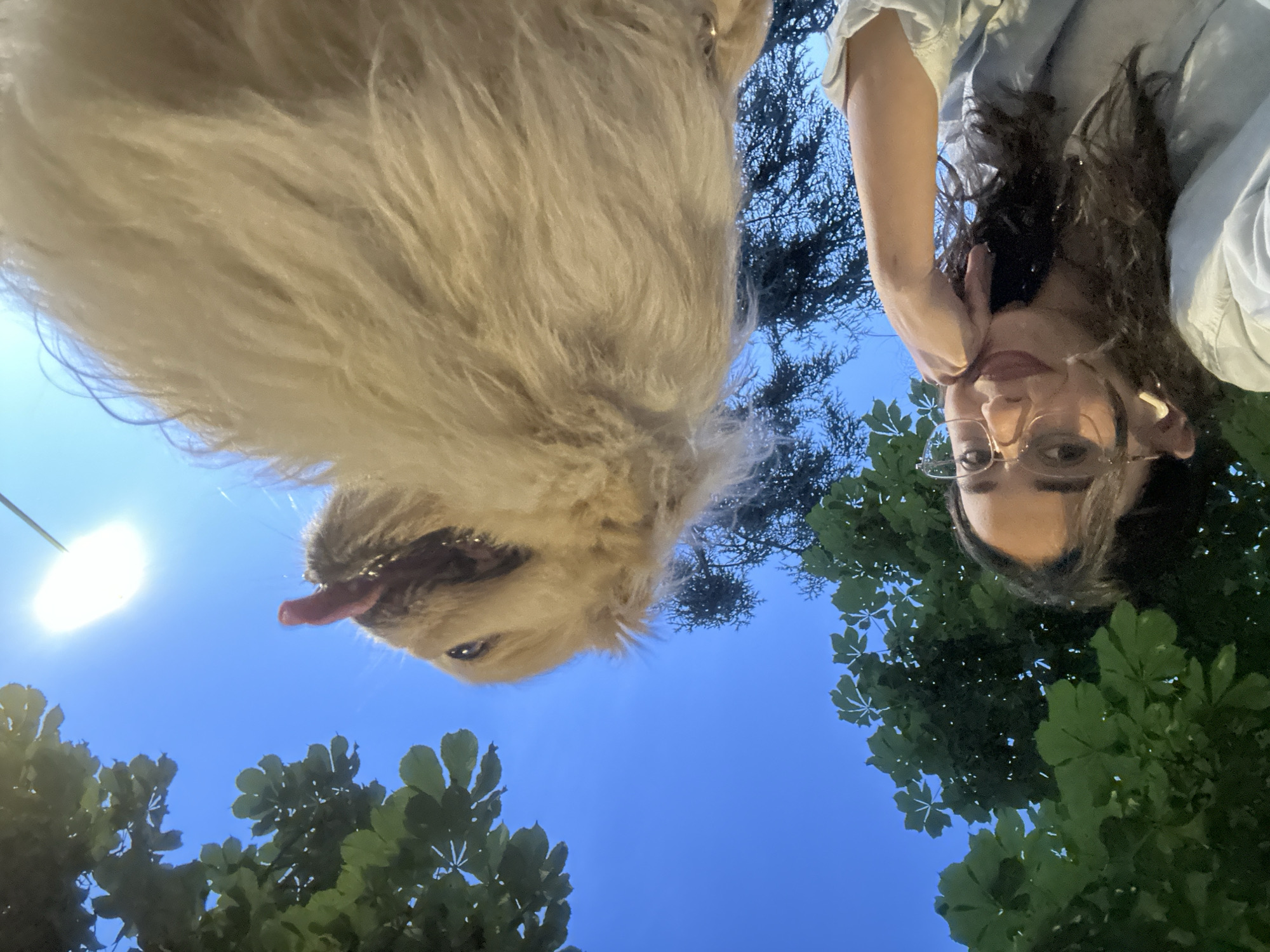 Woman walks Pekingese dog through Milan landmarks Sunday afternoon