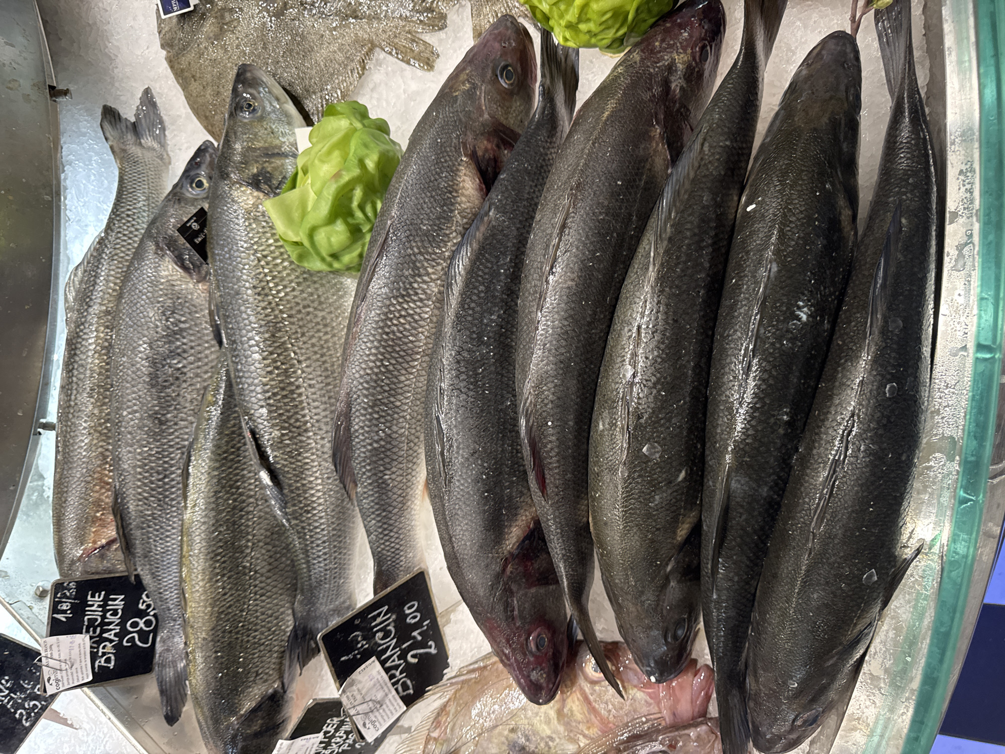 Fresh seafood displayed at Dobrota Montenegro market