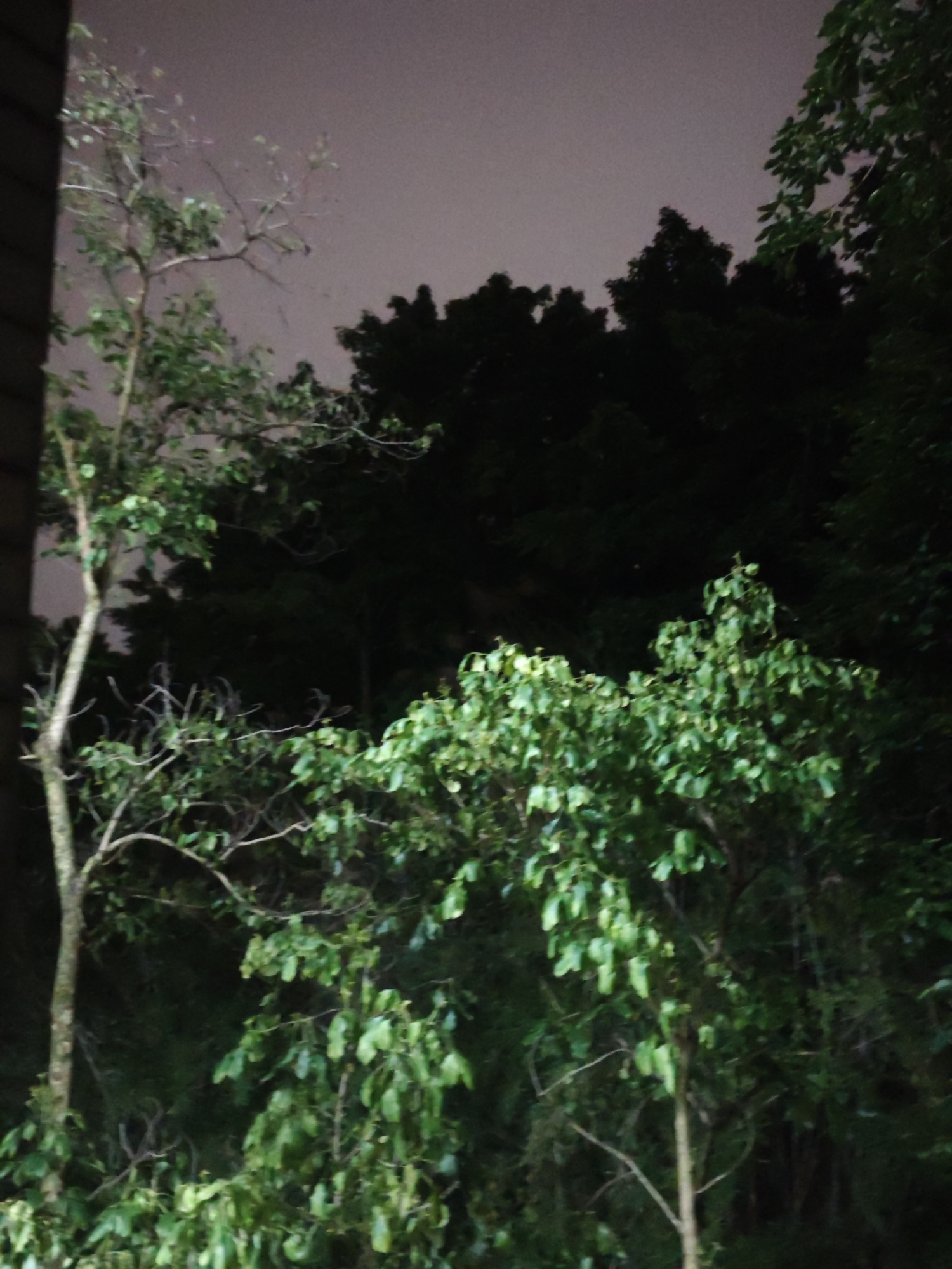 Evening scenes documented in Chongqing High-tech Zone park area