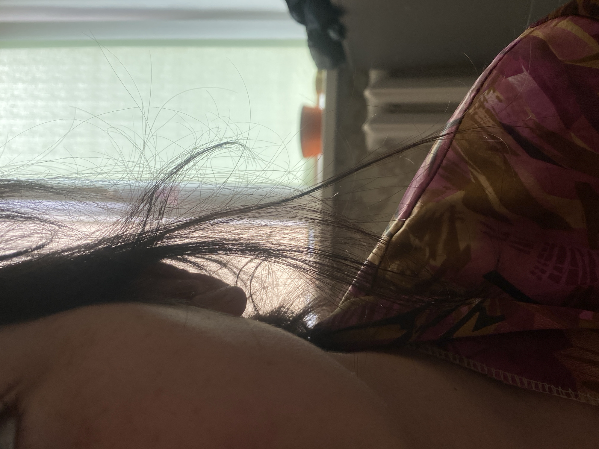 Morning domestic moments documented in Poltava residential setting