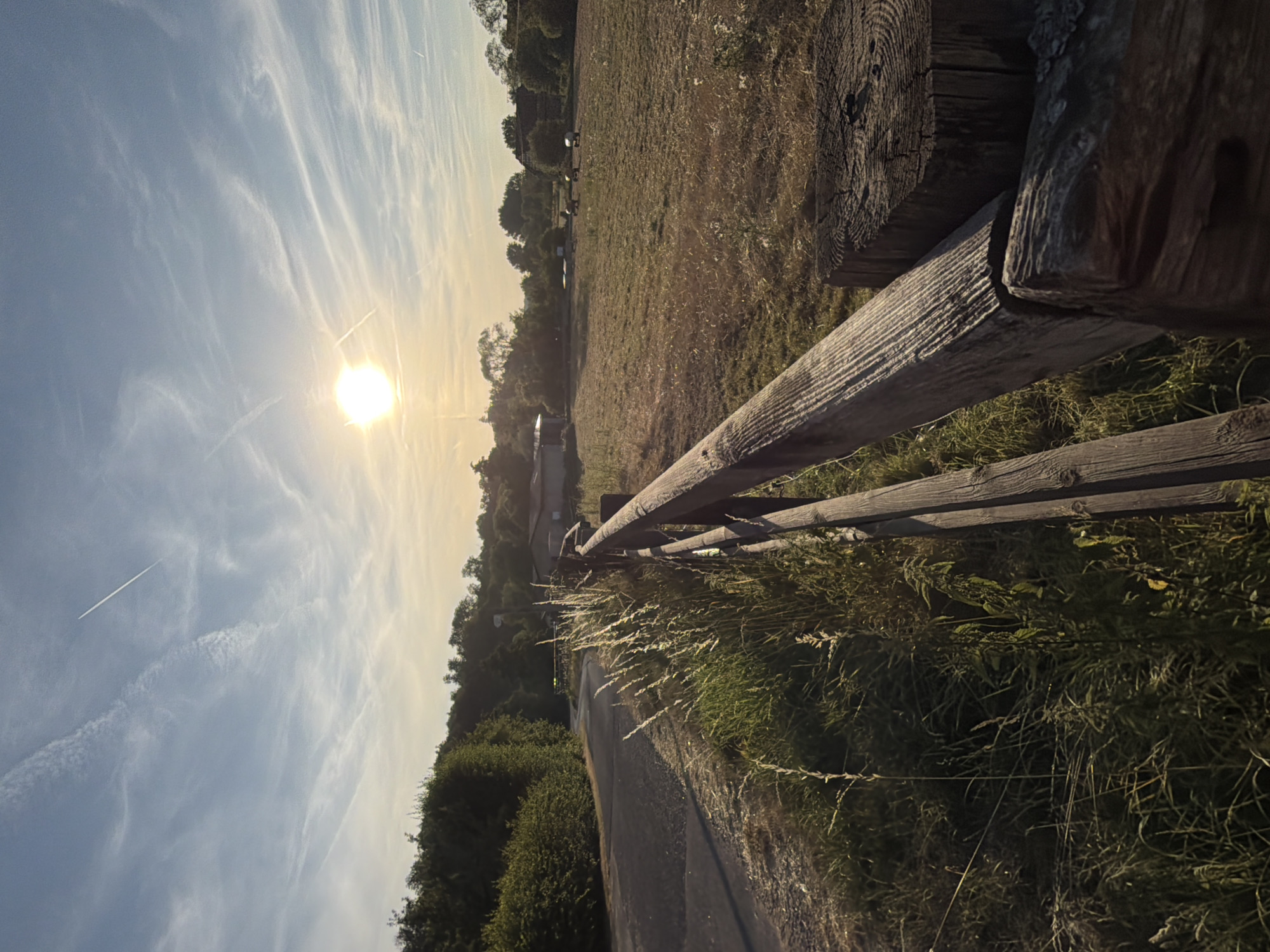 Blackberry picking and golden hour wandering through open farmland