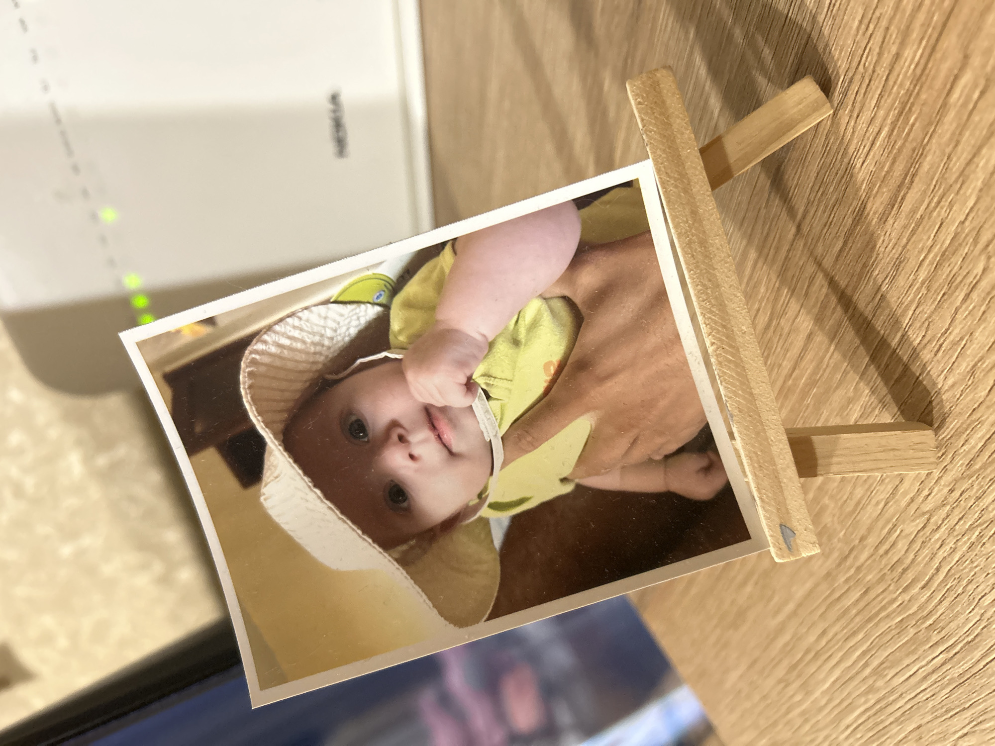 Evening snapshots capture baby photo, tabby cat, pizza in Sofia