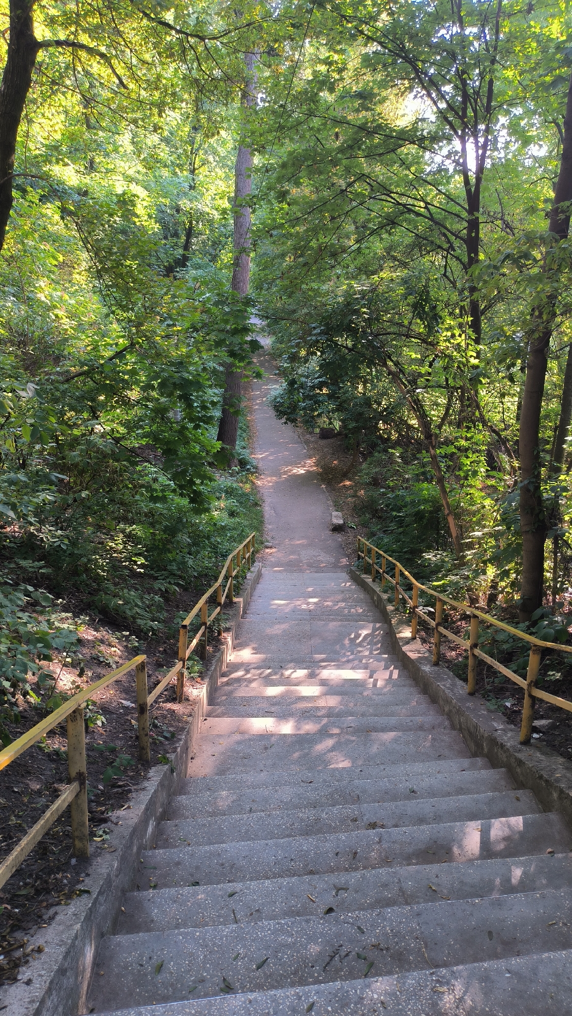 Afternoon in a Lviv park: swans, flowers, and strolling paths
