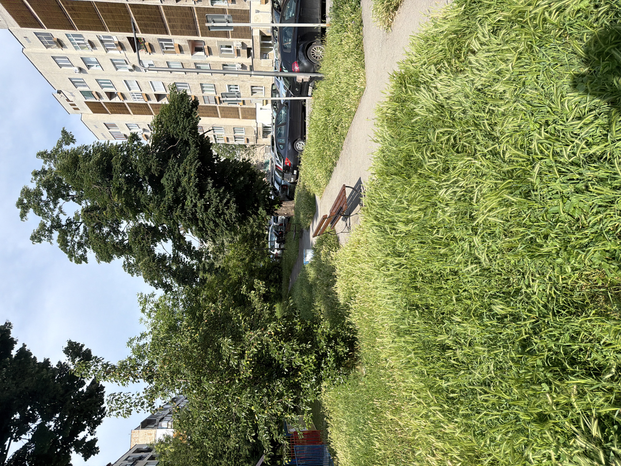 Ordinary afternoon moments captured across Ruse, Bulgaria