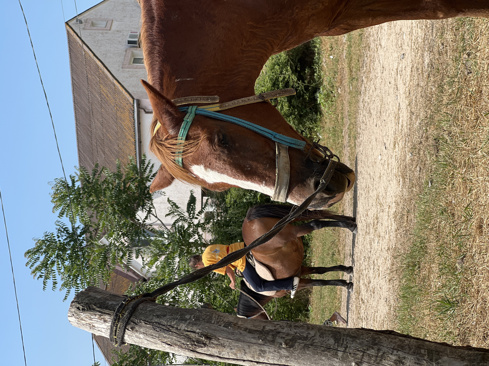 Casual horseback riding session in rural Ukraine