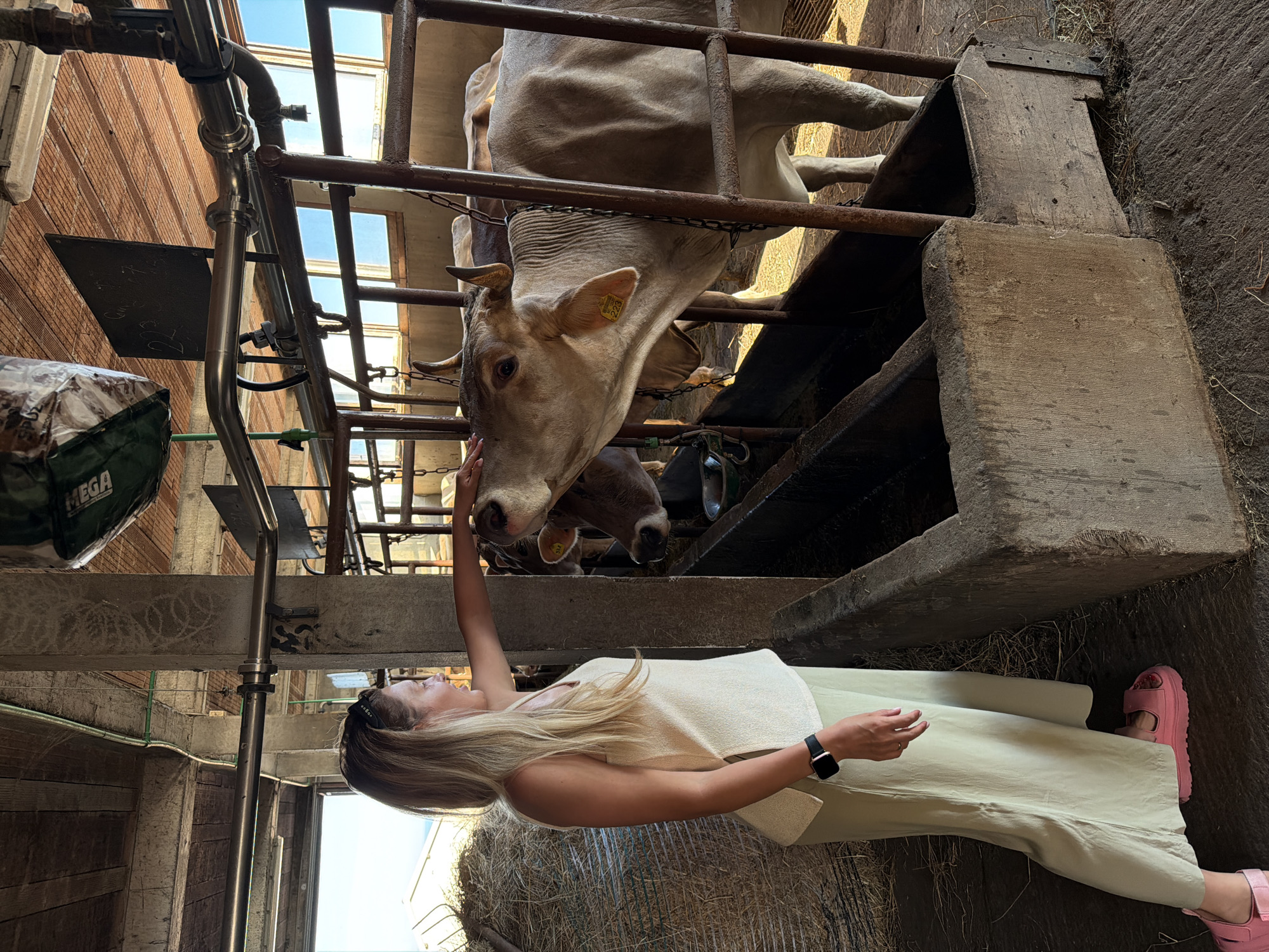 Woman and child visit Montenegro farms, interact with livestock