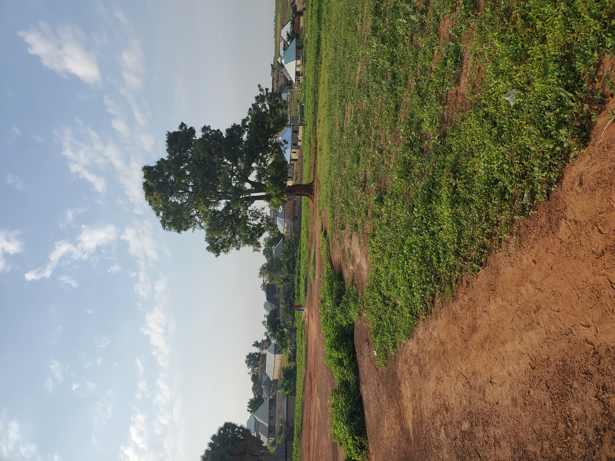 Morning life documented in rural Winters community
