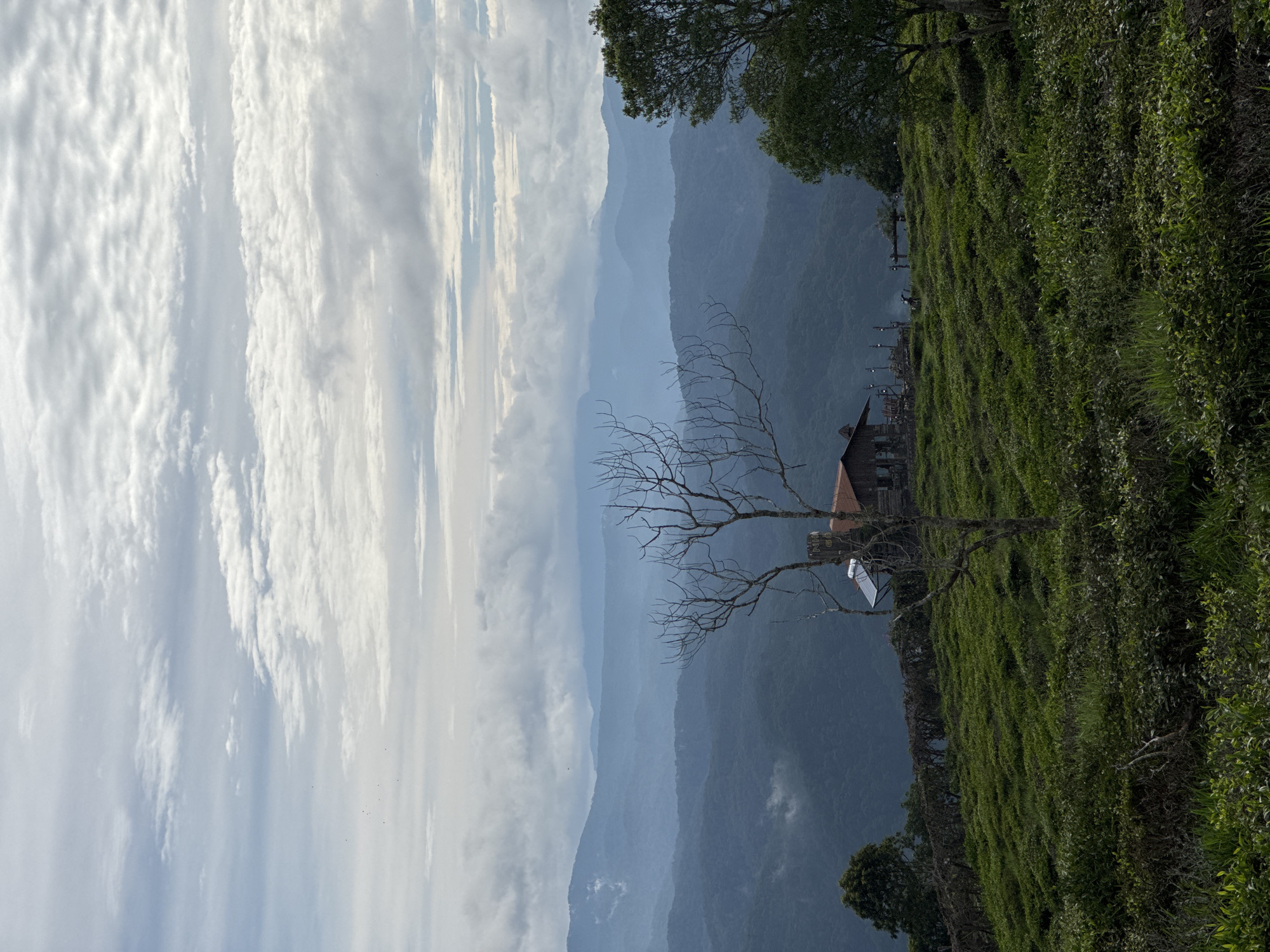 Rural Vietnam landscapes documented near Phát Chi overnight