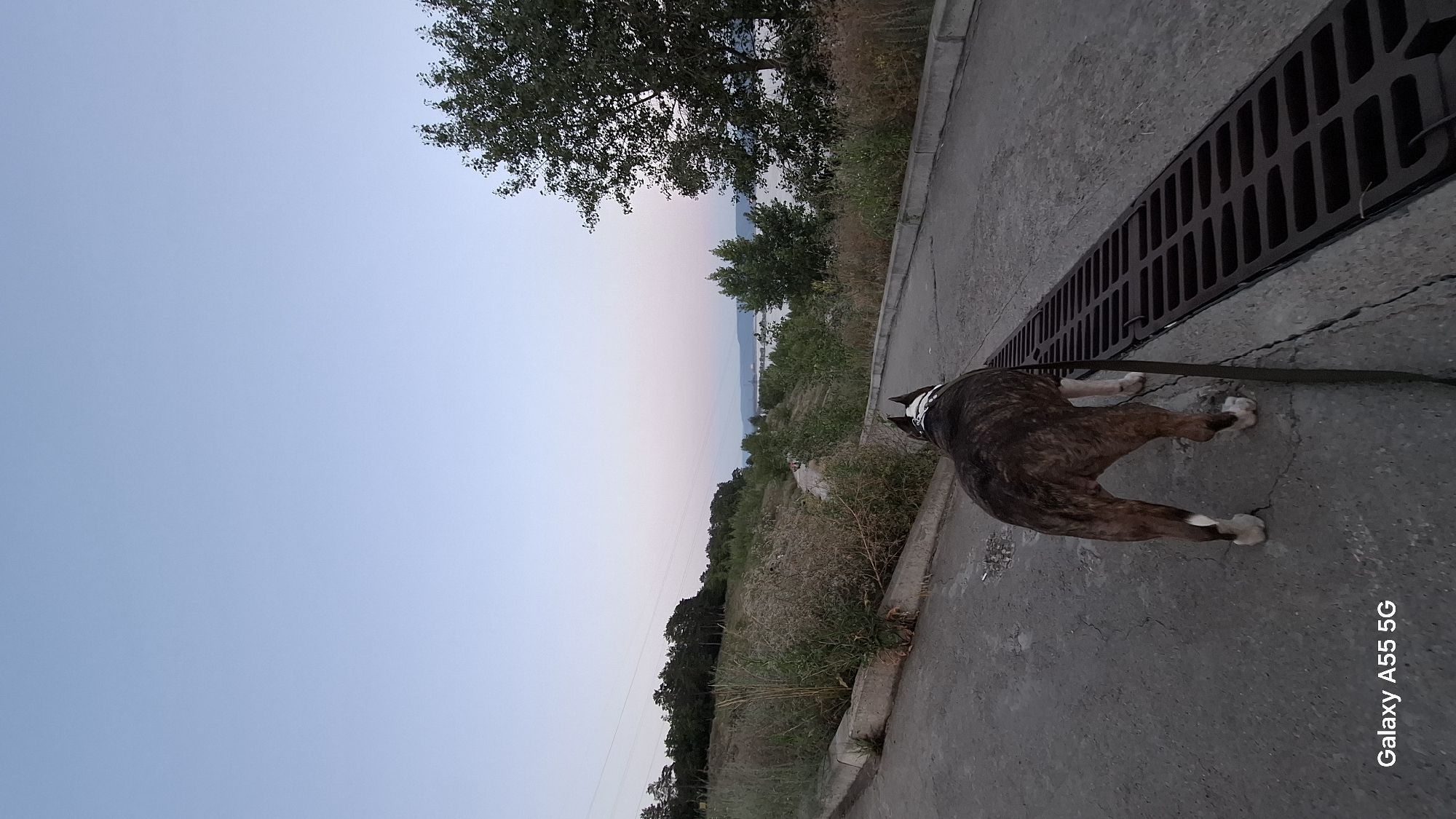 Dusk along the Volga: riverbank walk in Tolyatti