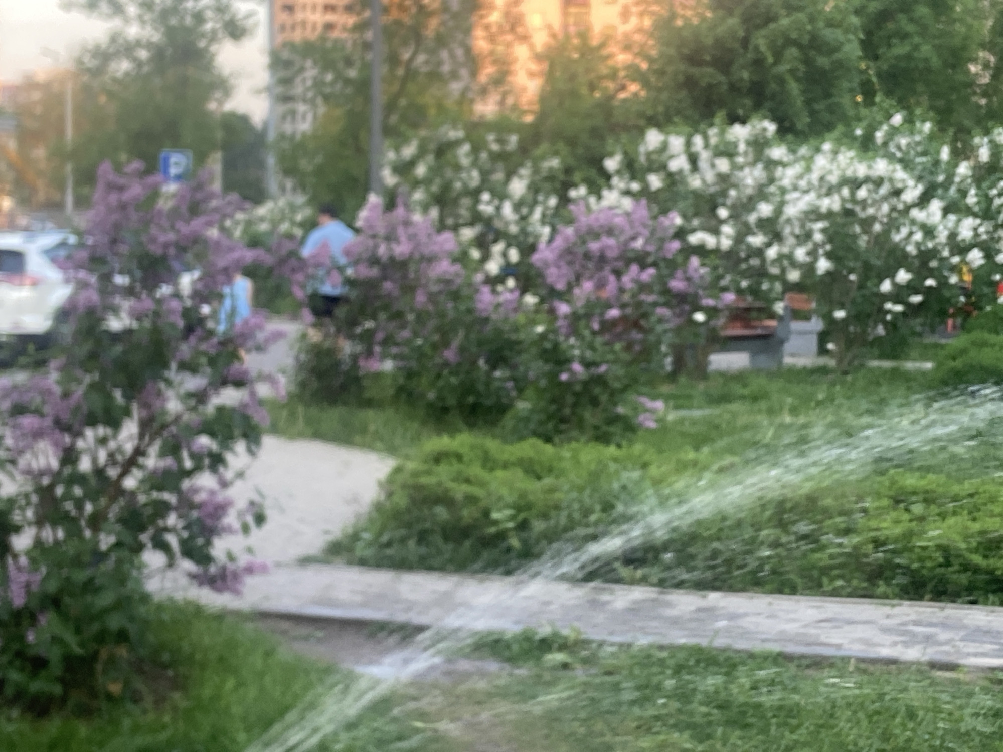 Children play at Mytishchi park playground during evening hours