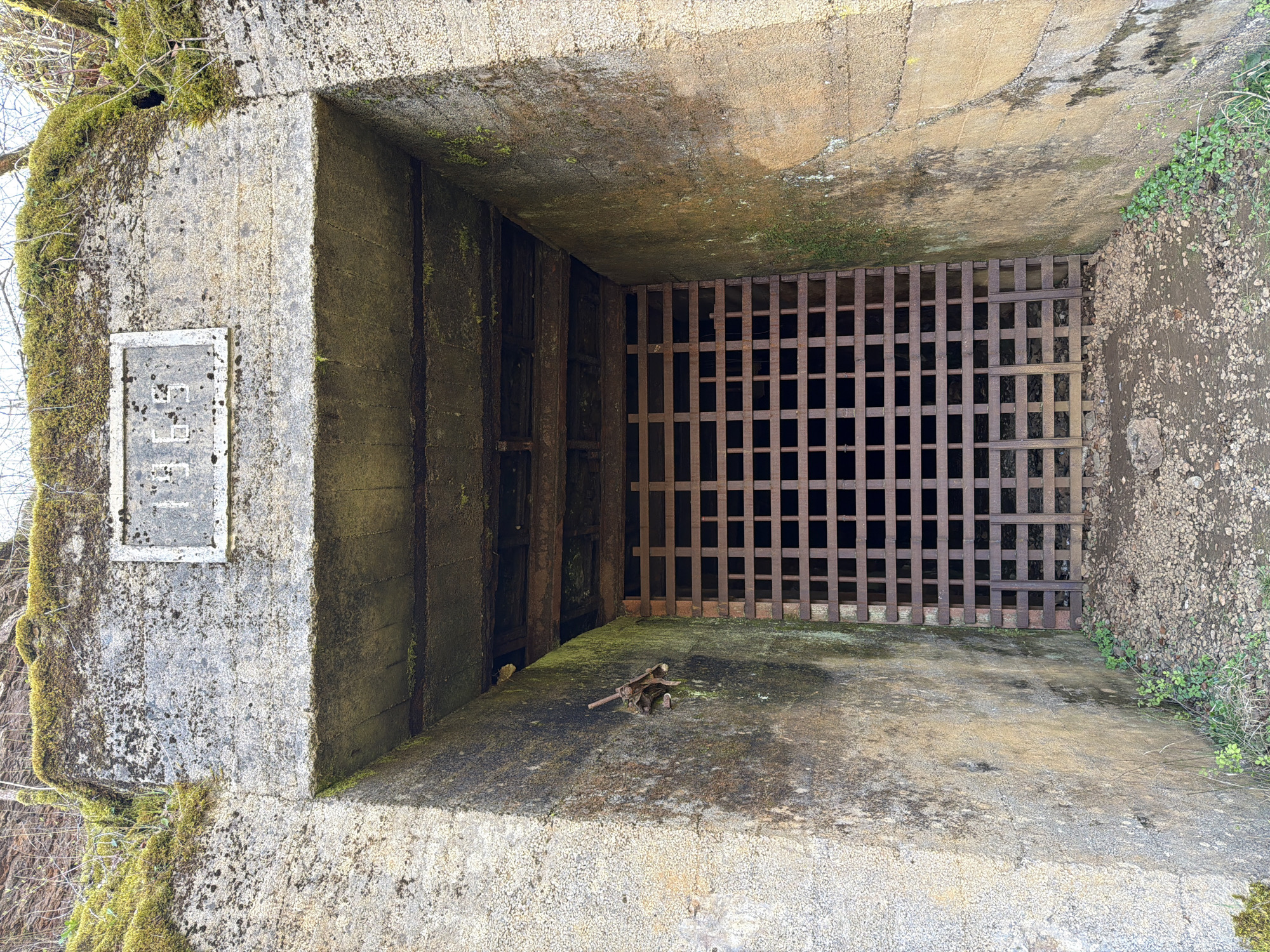 Overgrown concrete drainage structure observed in Pétange, Luxembourg