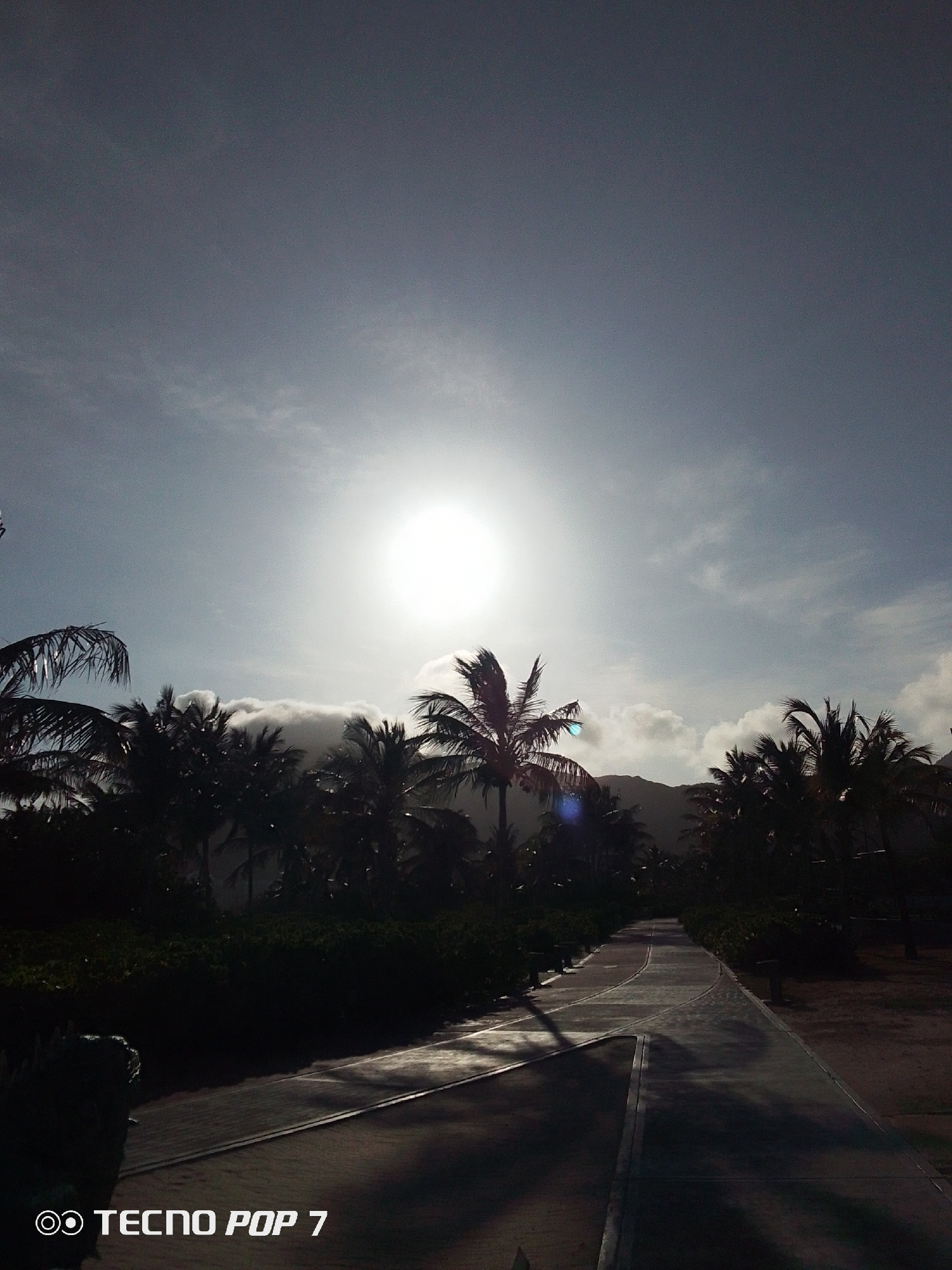 Tropical morning scenes documented in Pedro González, Venezuela