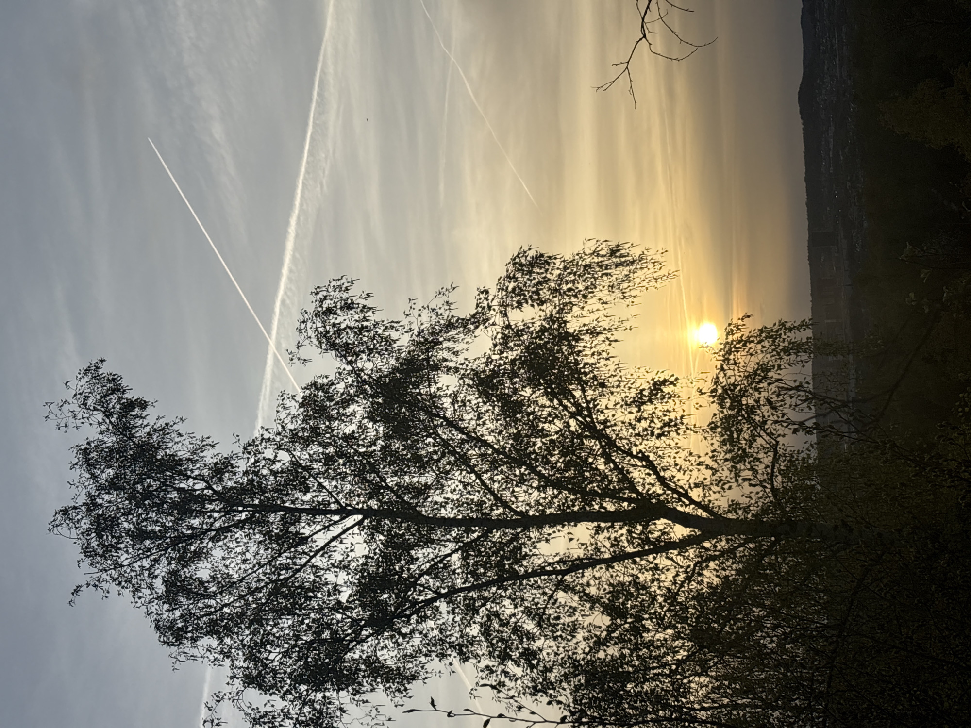 Dog in sunglasses, sunset captured in Luxembourg towns