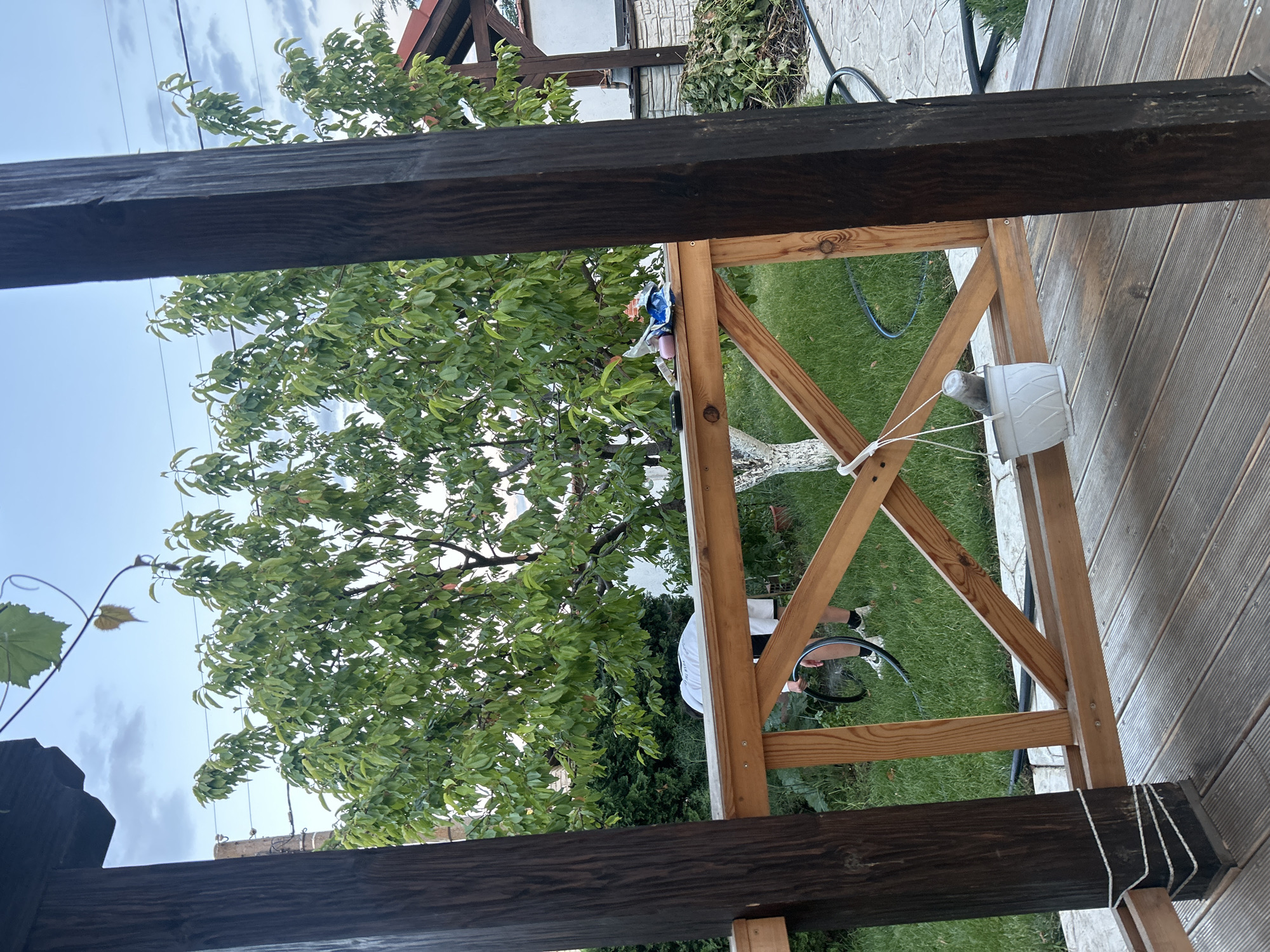 Backyard evening in Войводино: deck, garden, and dusk light