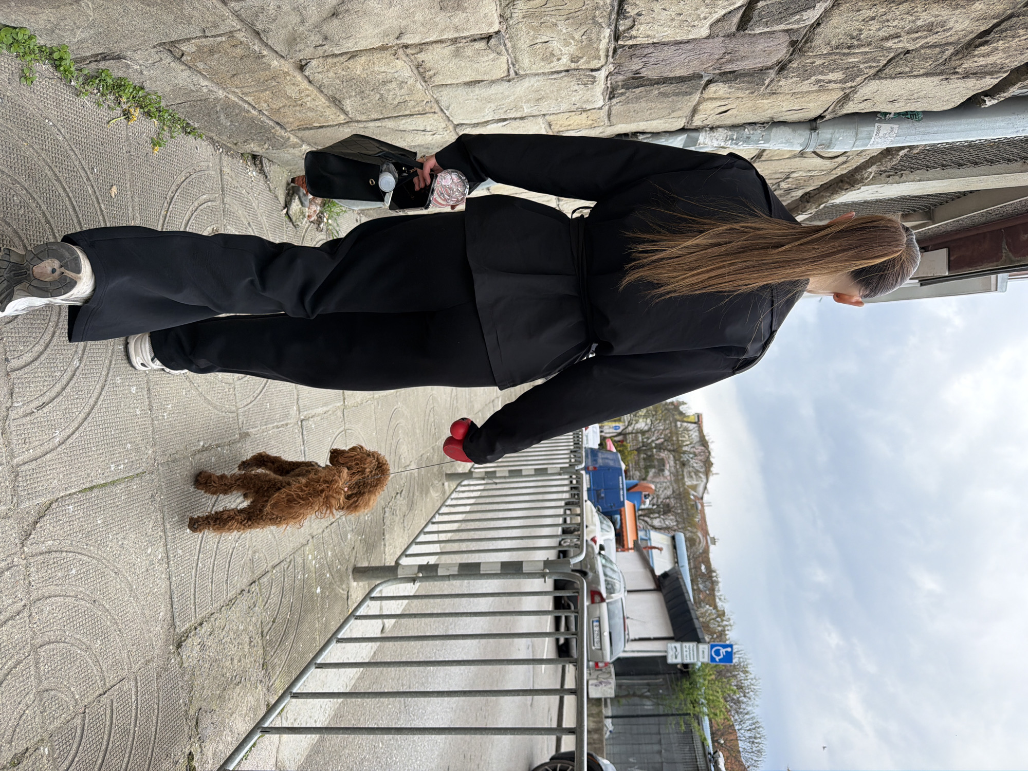 Person walks small dog on Sofia sidewalk