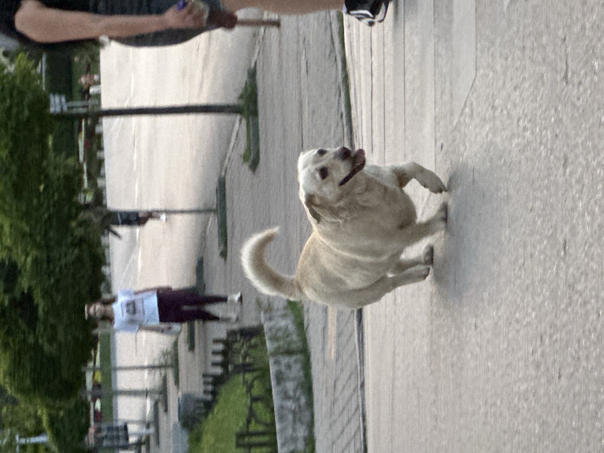 Evening street life documented across Veliko Tarnovo, Bulgaria