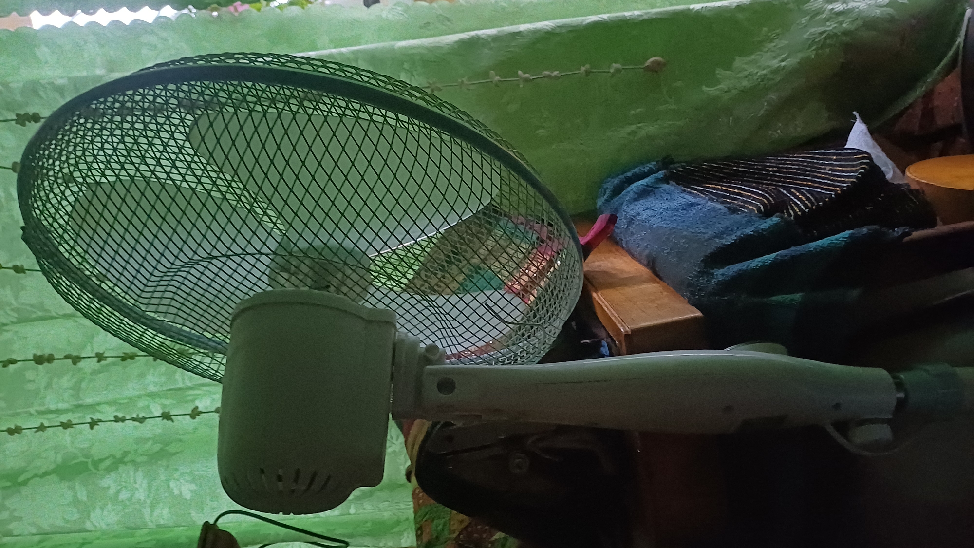A rainy July morning wander through everyday Izhevsk