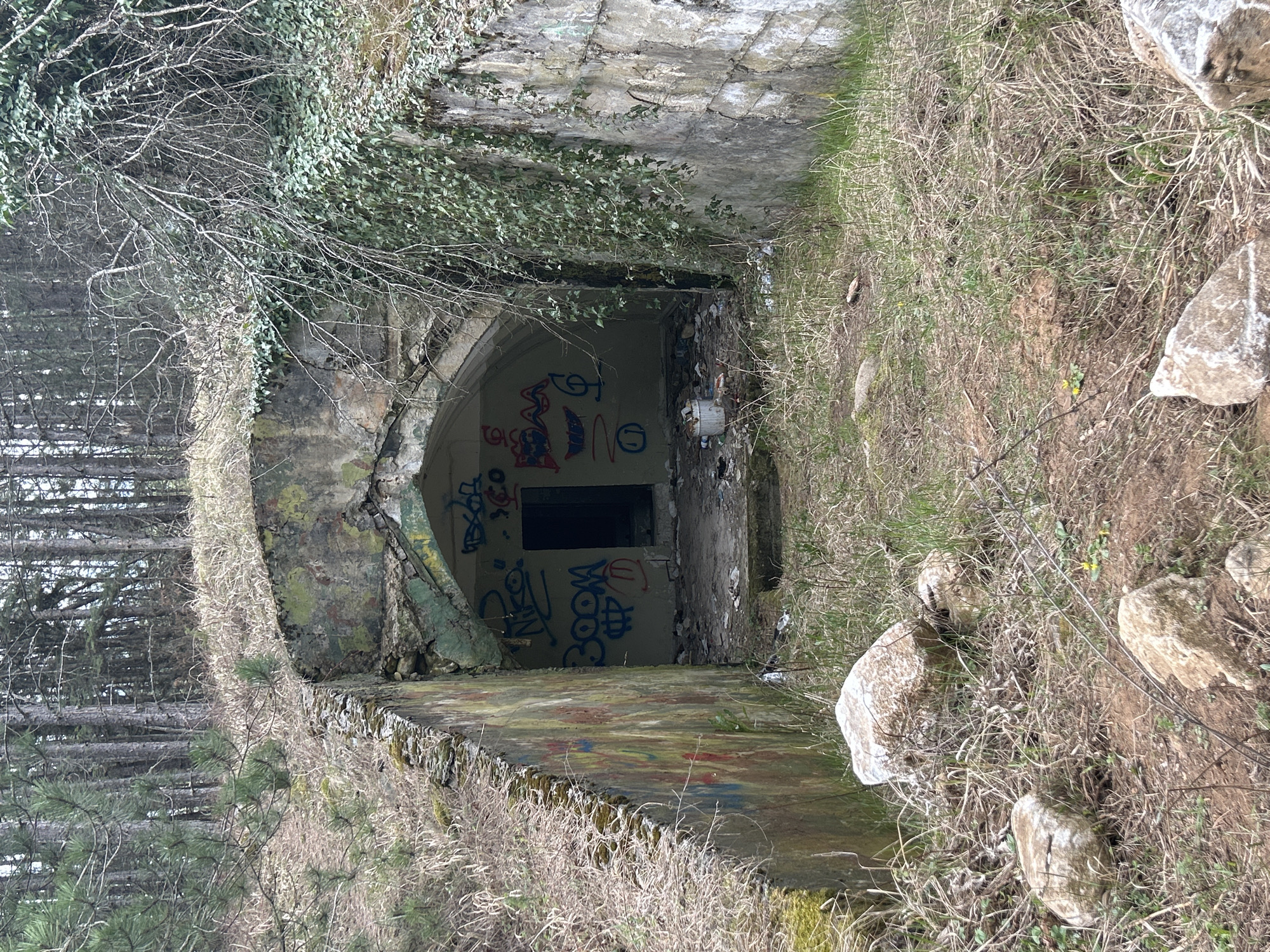 Abandoned structures and wildlife documented near Razlog, Bulgaria