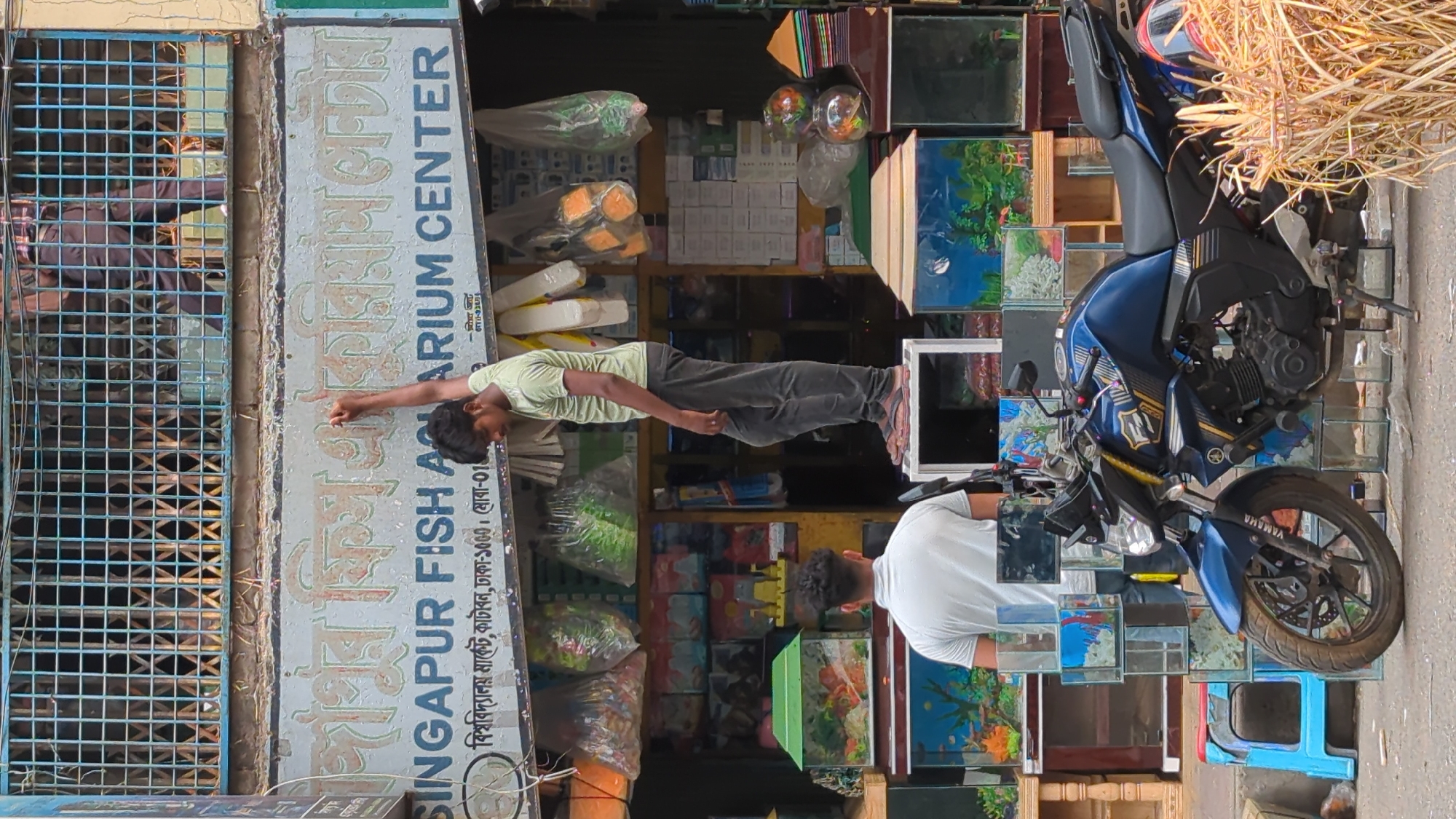 Morning street life documented near Dhaka aquarium shop