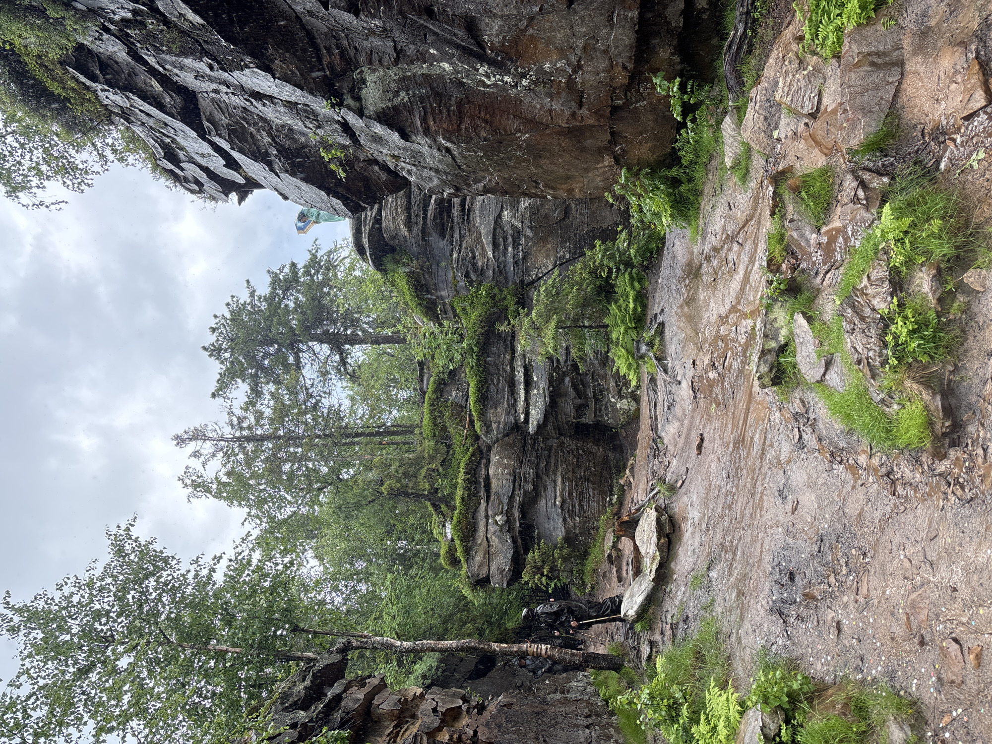 Hikers traverse rainy forest trails near Nagornskiy, Russia