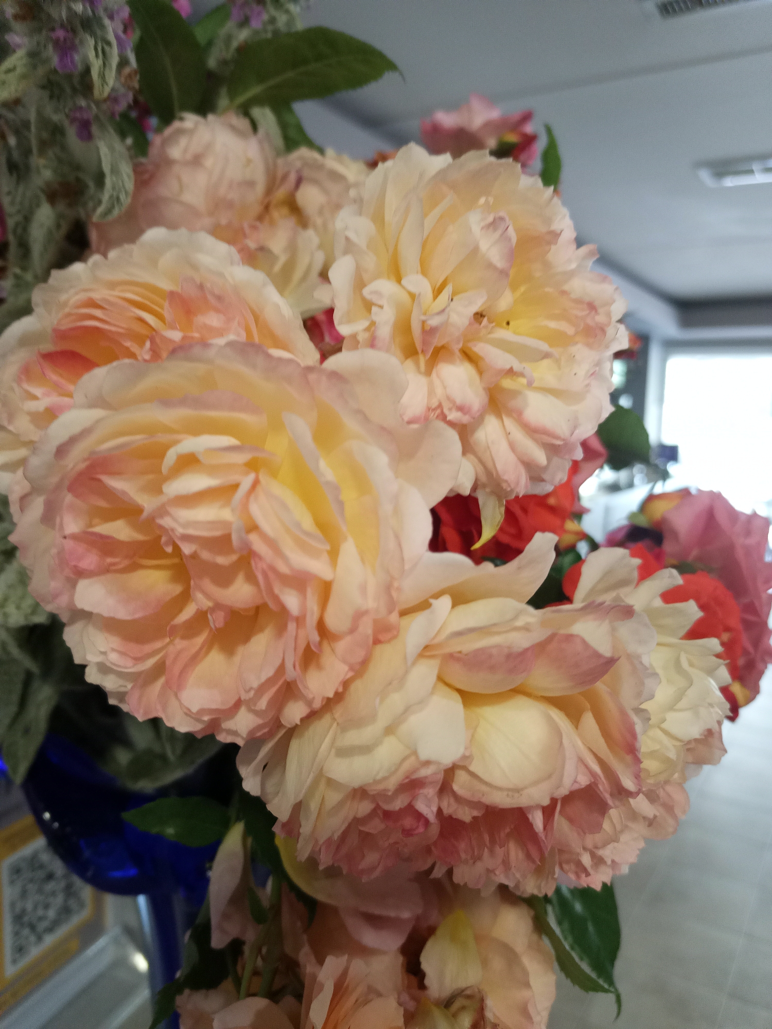 Gym visit and garden flowers on a summer morning