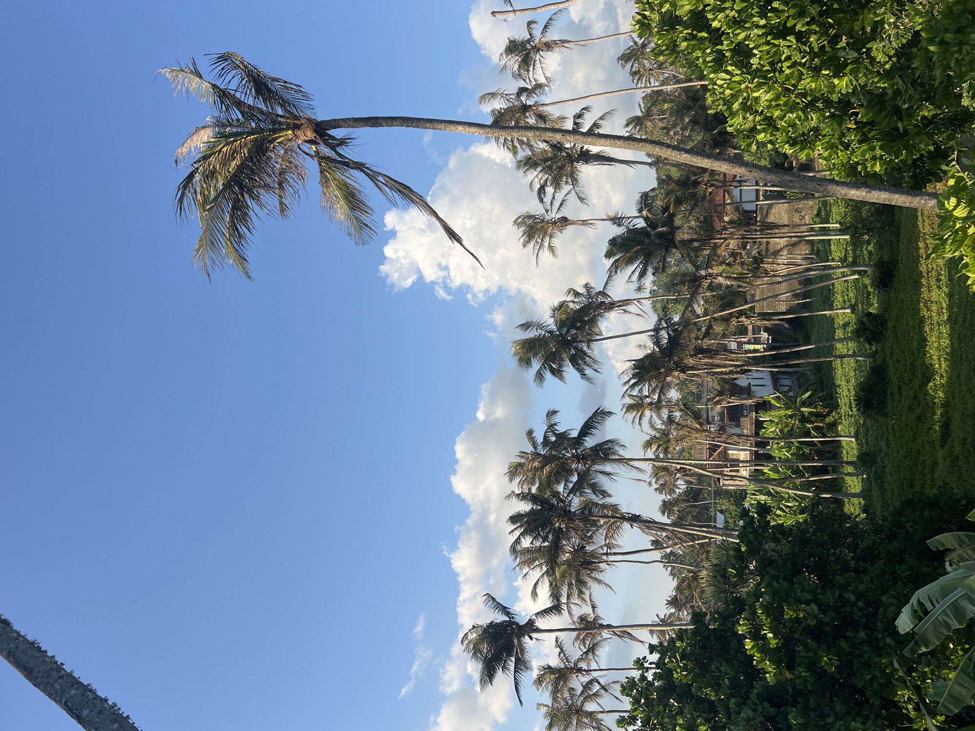 Coastal landscapes documented across Sri Lankan towns under clear skies