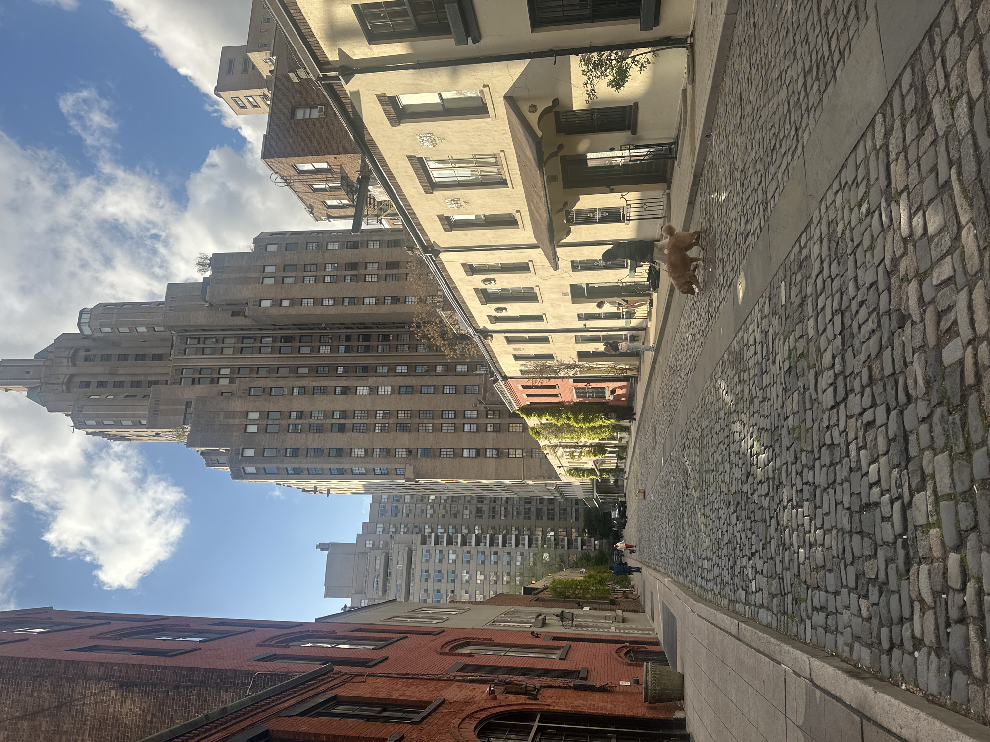 NYC street scenes captured showing cobblestones and sidewalk graffiti