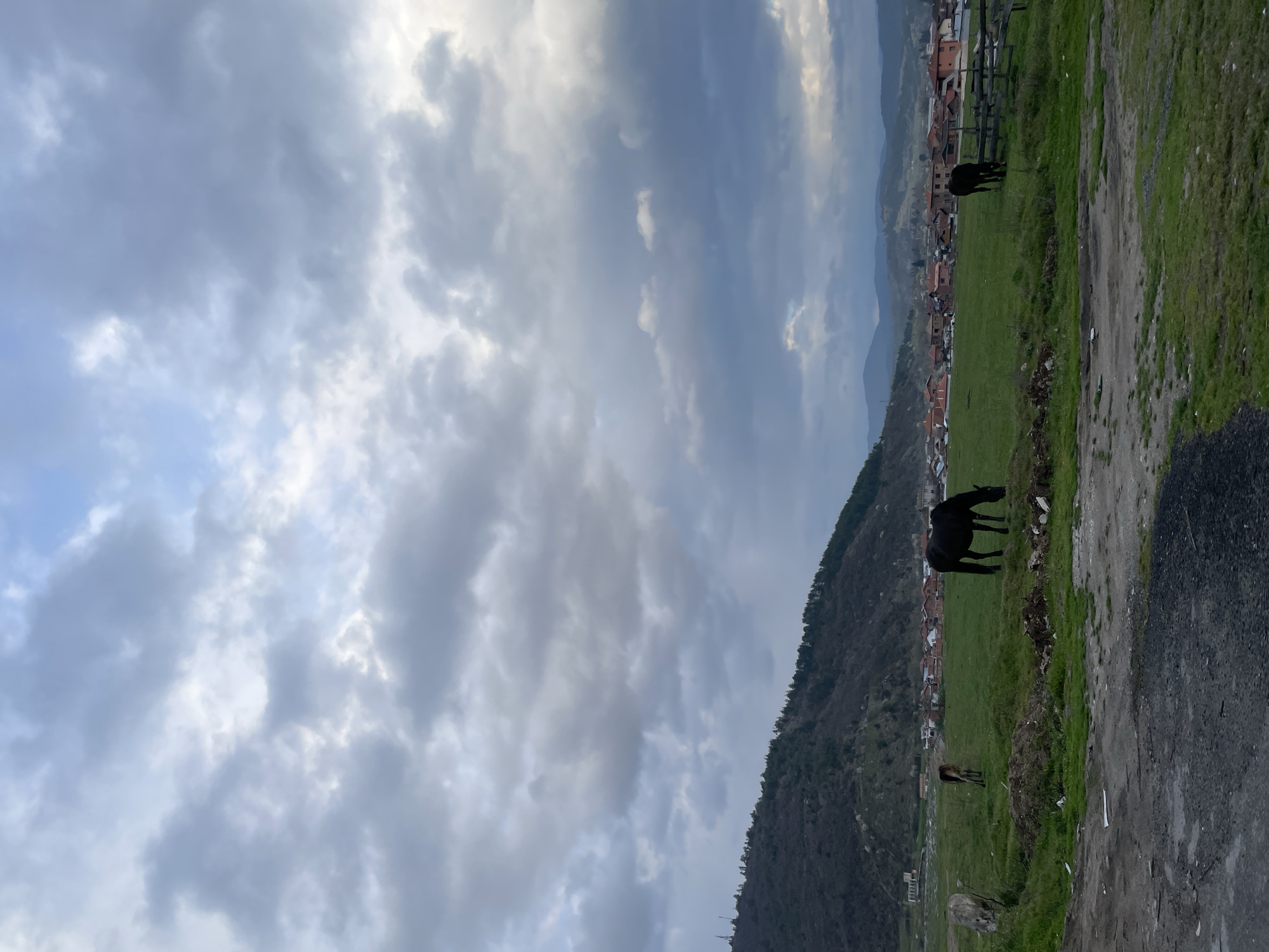 Black horse grazes near Velingrad mountain town in Bulgaria