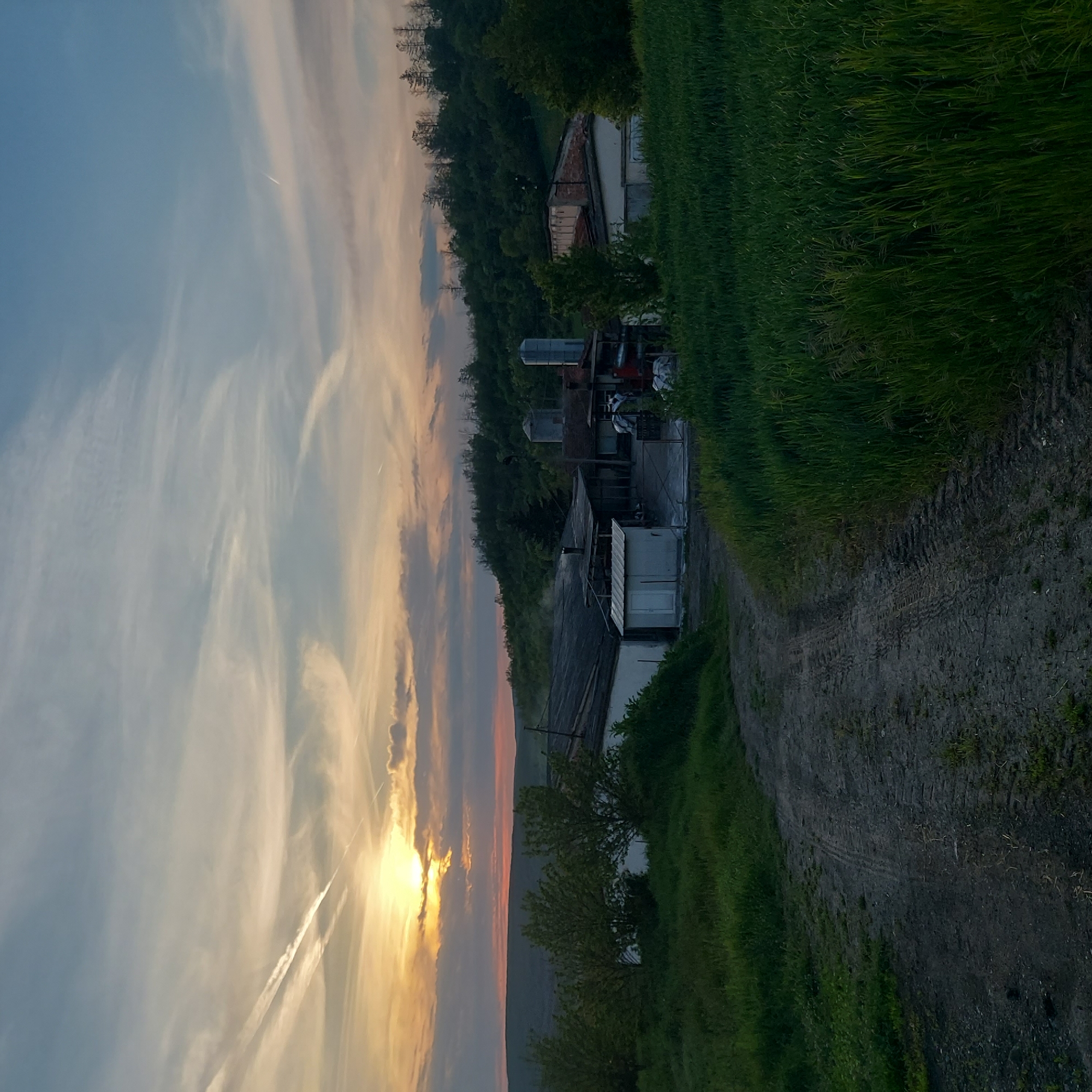 German Shepherd runs through countryside fields near Strazhitsa, Bulgaria