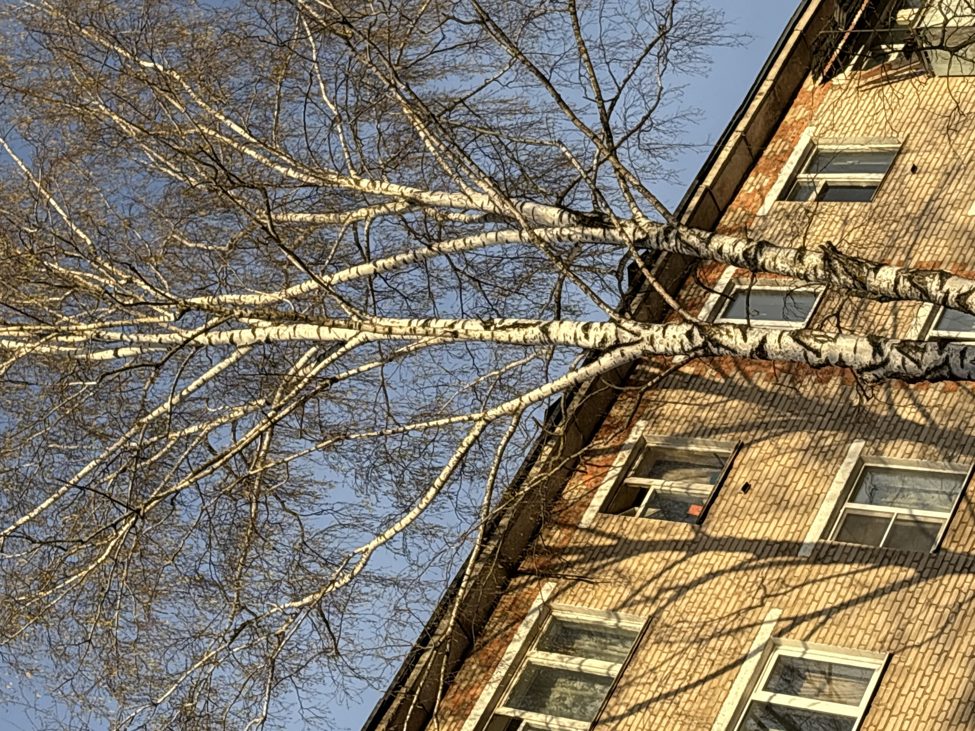 Early morning building and sky views documented in Klin