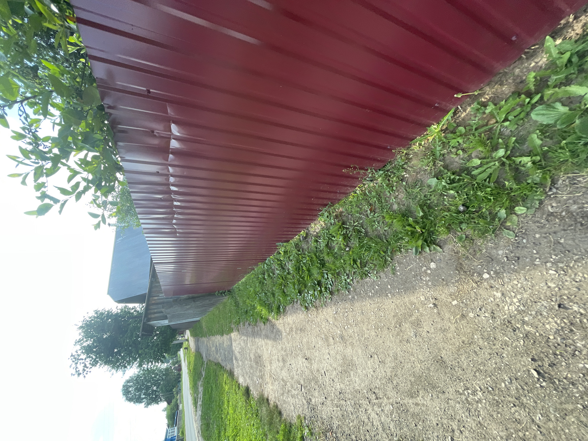Walking tour through Krasnye Baki village streets and pathways