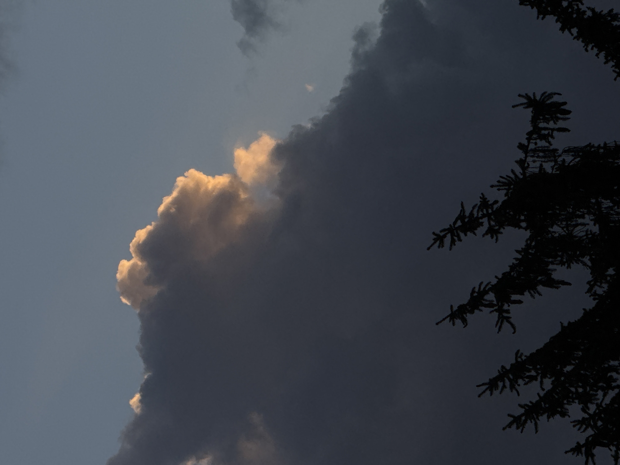 Individual documents evening scenes across Sofia during storm weather