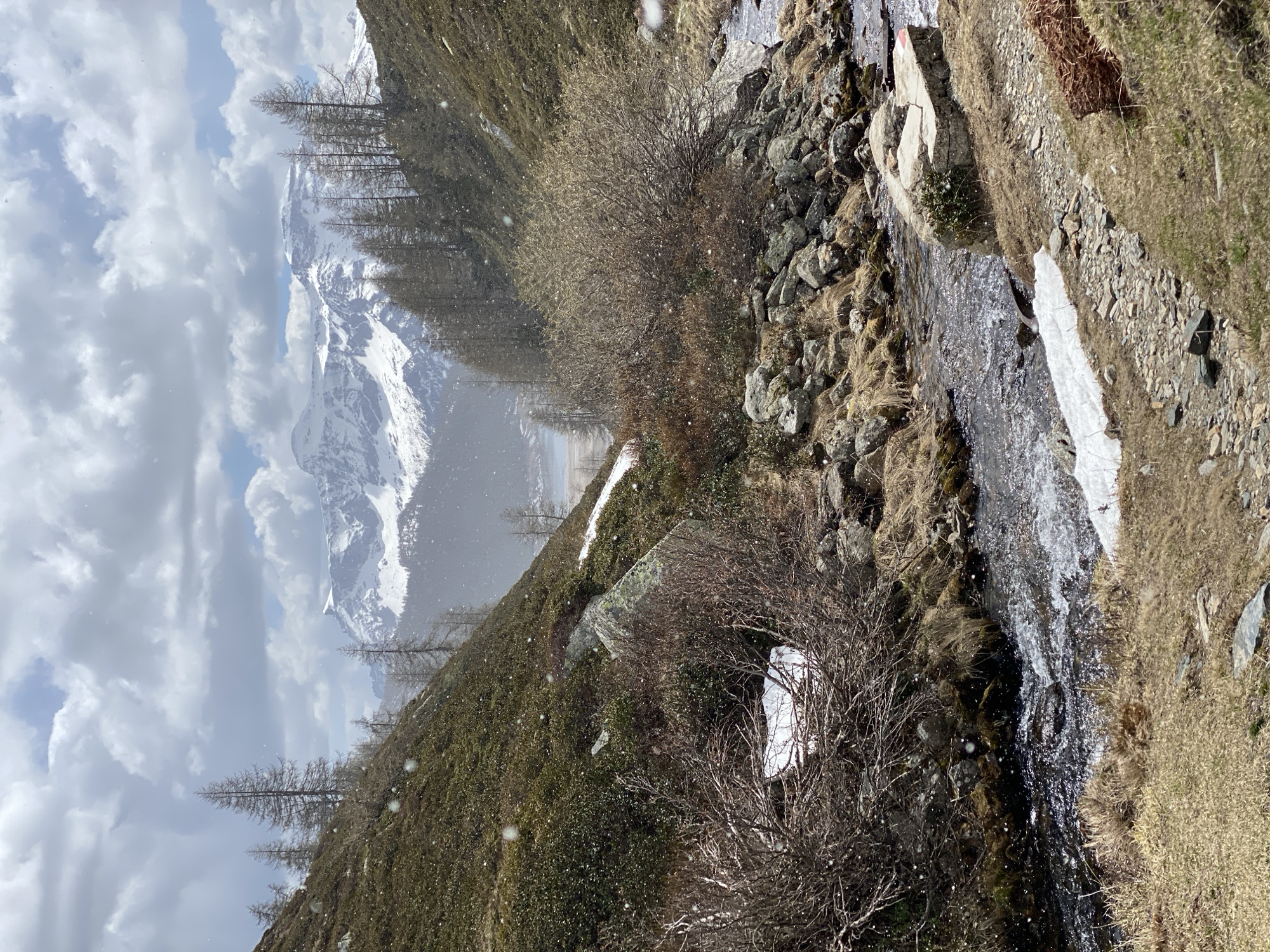 Alpine landscape documented near Baceno, Italy during light snowfall