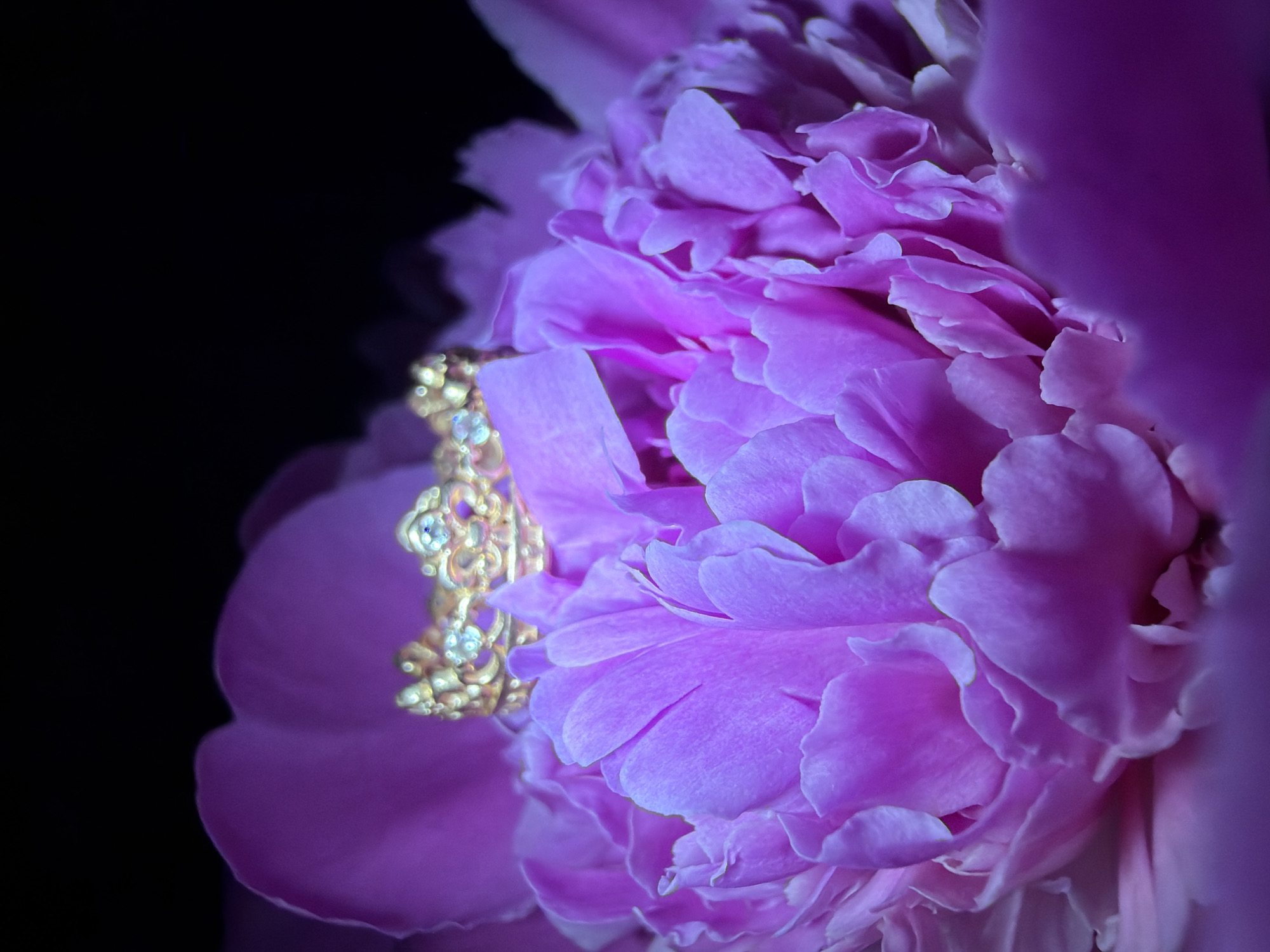 Portrait session with peonies captured in Chaikovsky, Russia