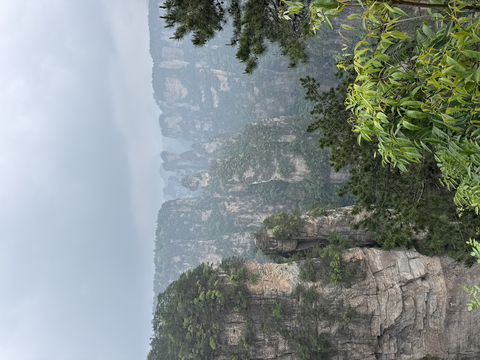 Misty dawn views captured at Zhangjiajie's iconic rock pillars