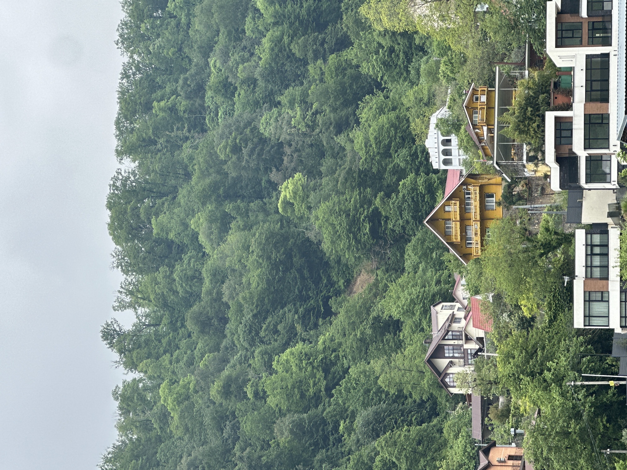 Quiet moments captured in Sochi region neighborhoods and waterways
