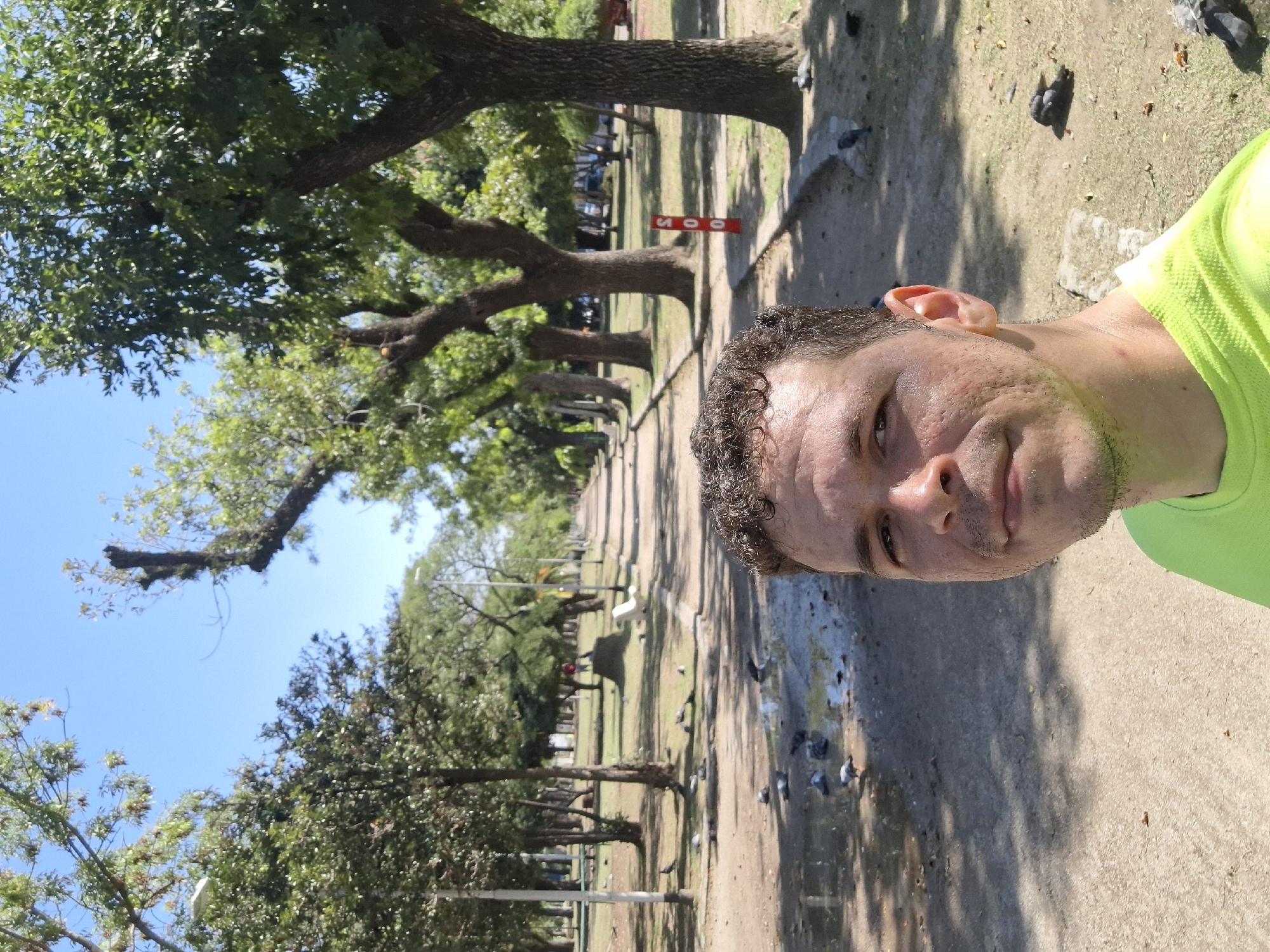 Afternoon park visit captures pigeons and Argentine memorial flag